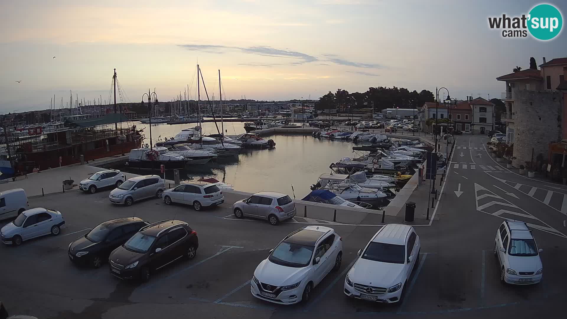 Novigrad | Porporela marina