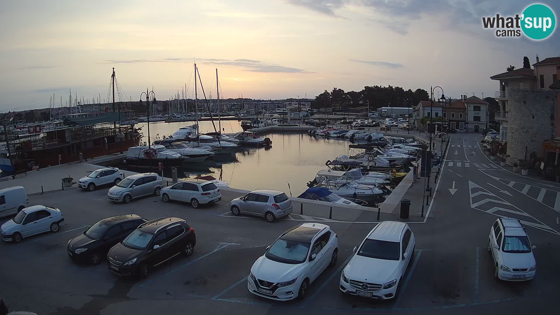 Novigrad | Porporela marina