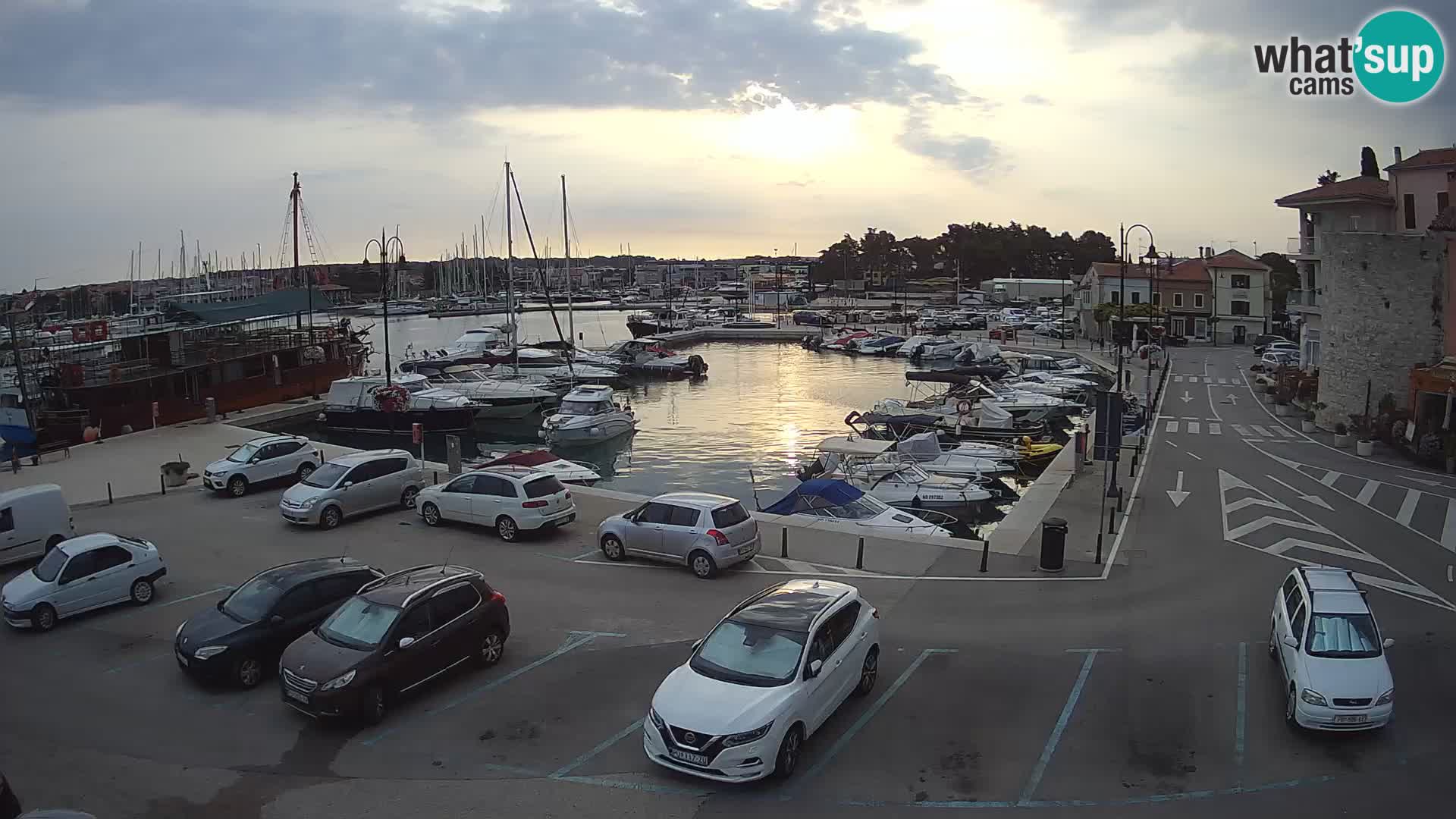 Novigrad | Porporela marina