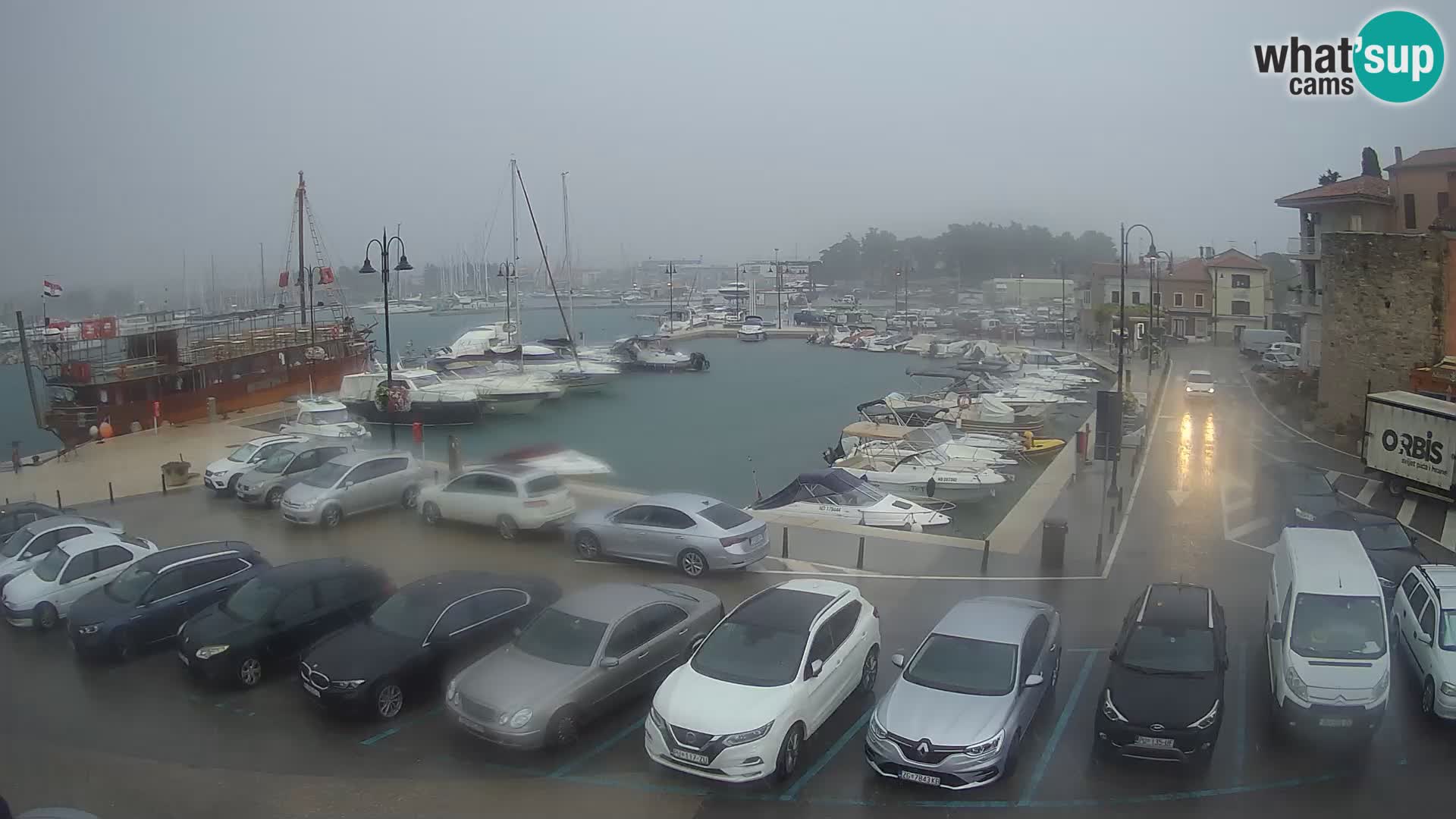 Novigrad | Porporela marina