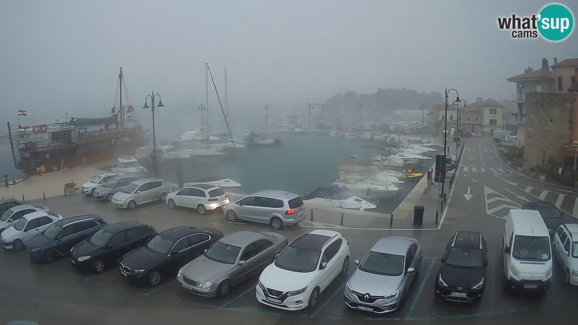 Novigrad | Porporela marina