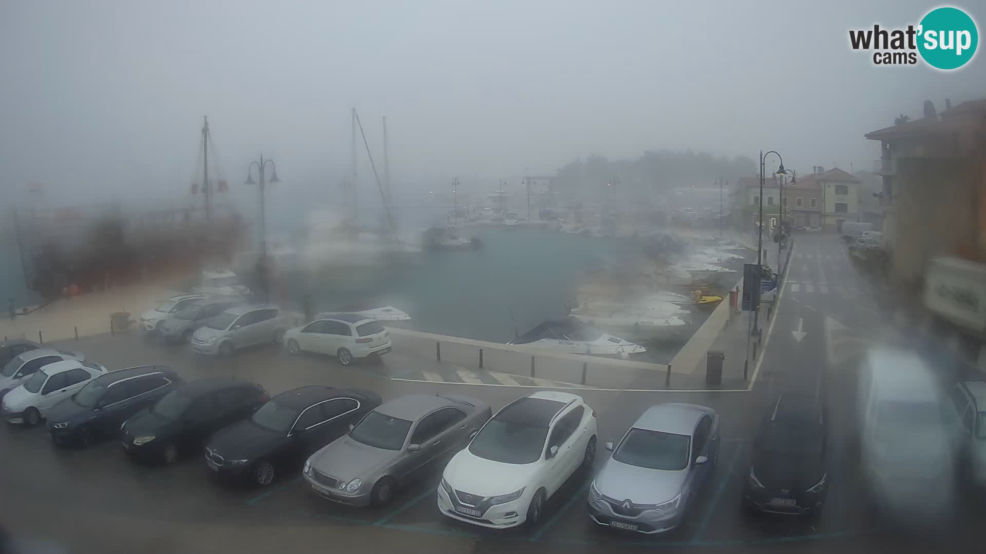 Novigrad | Porporela marina