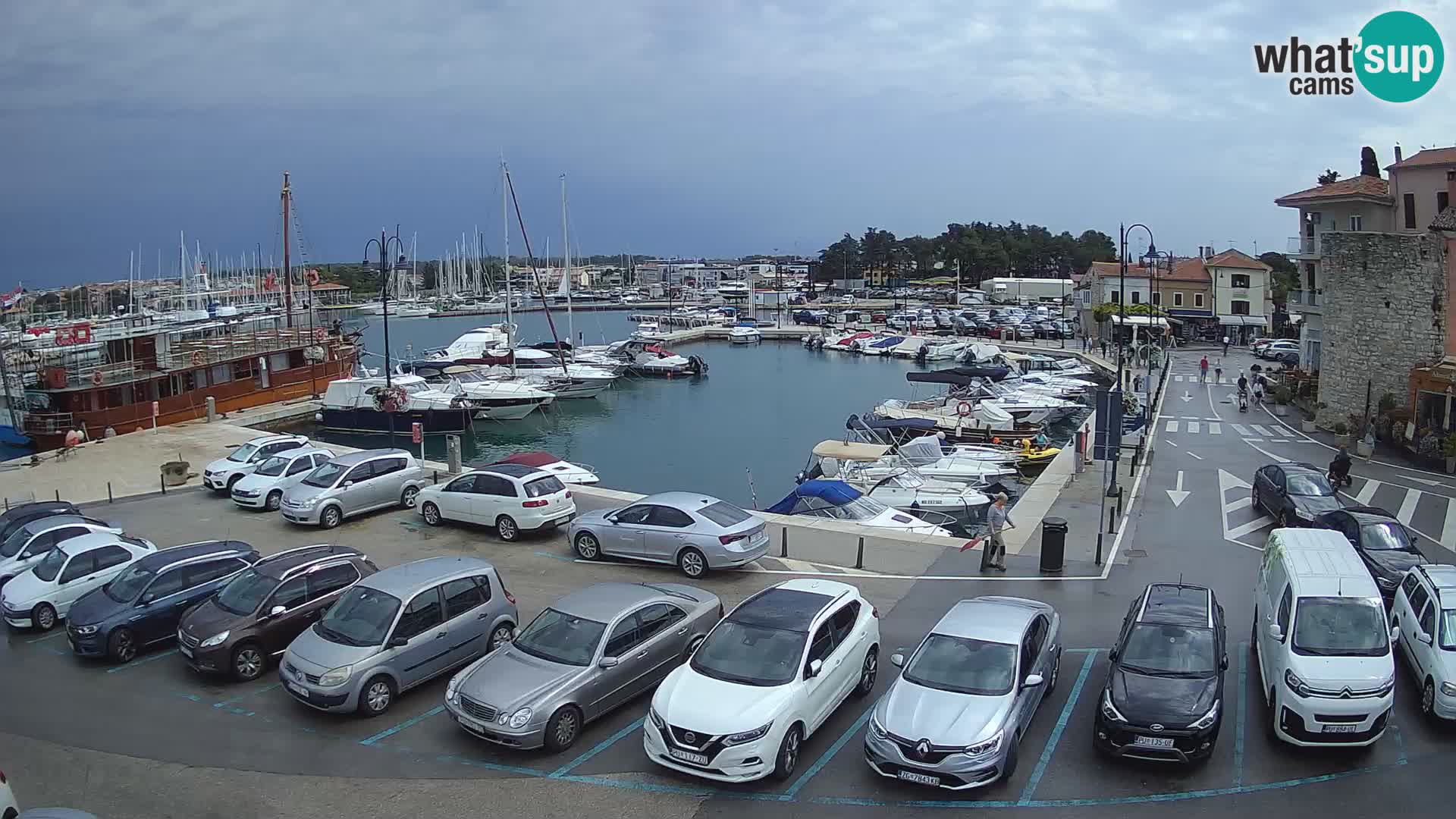 Novigrad | Porporela marina