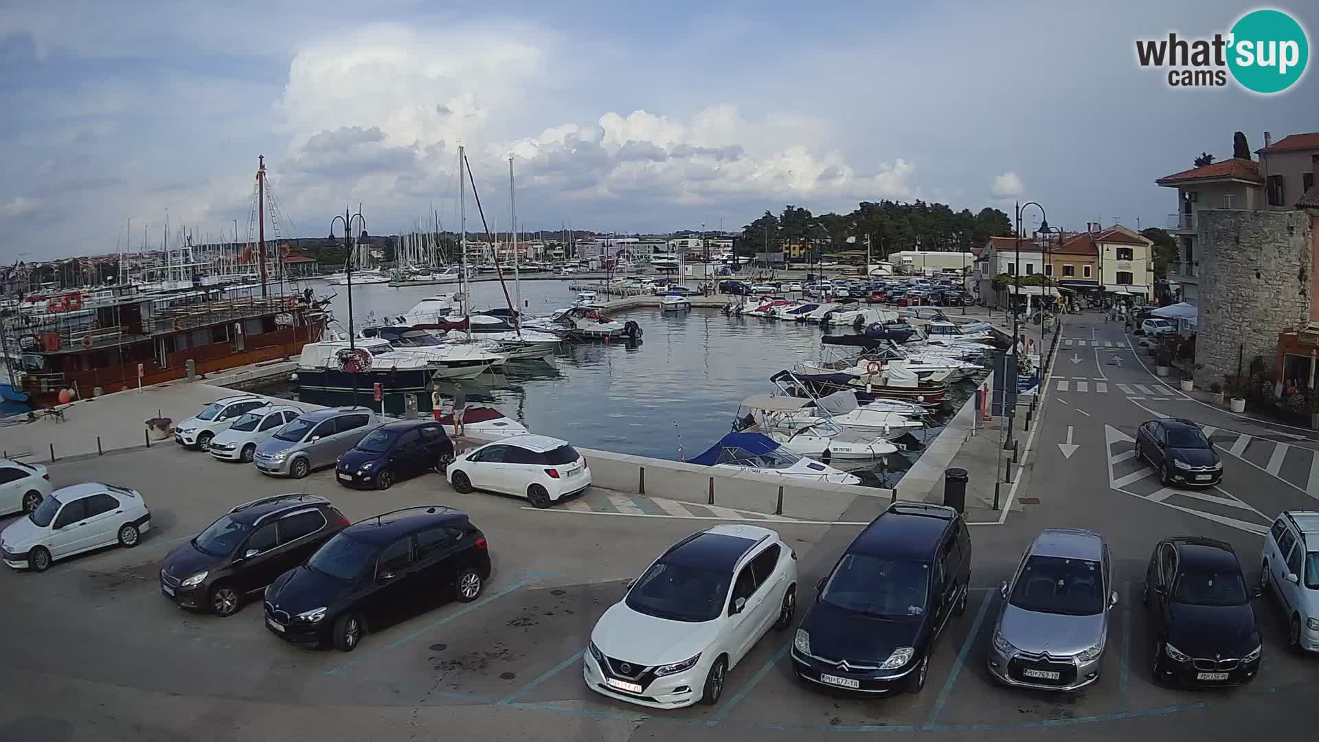 Novigrad | Porporela marina