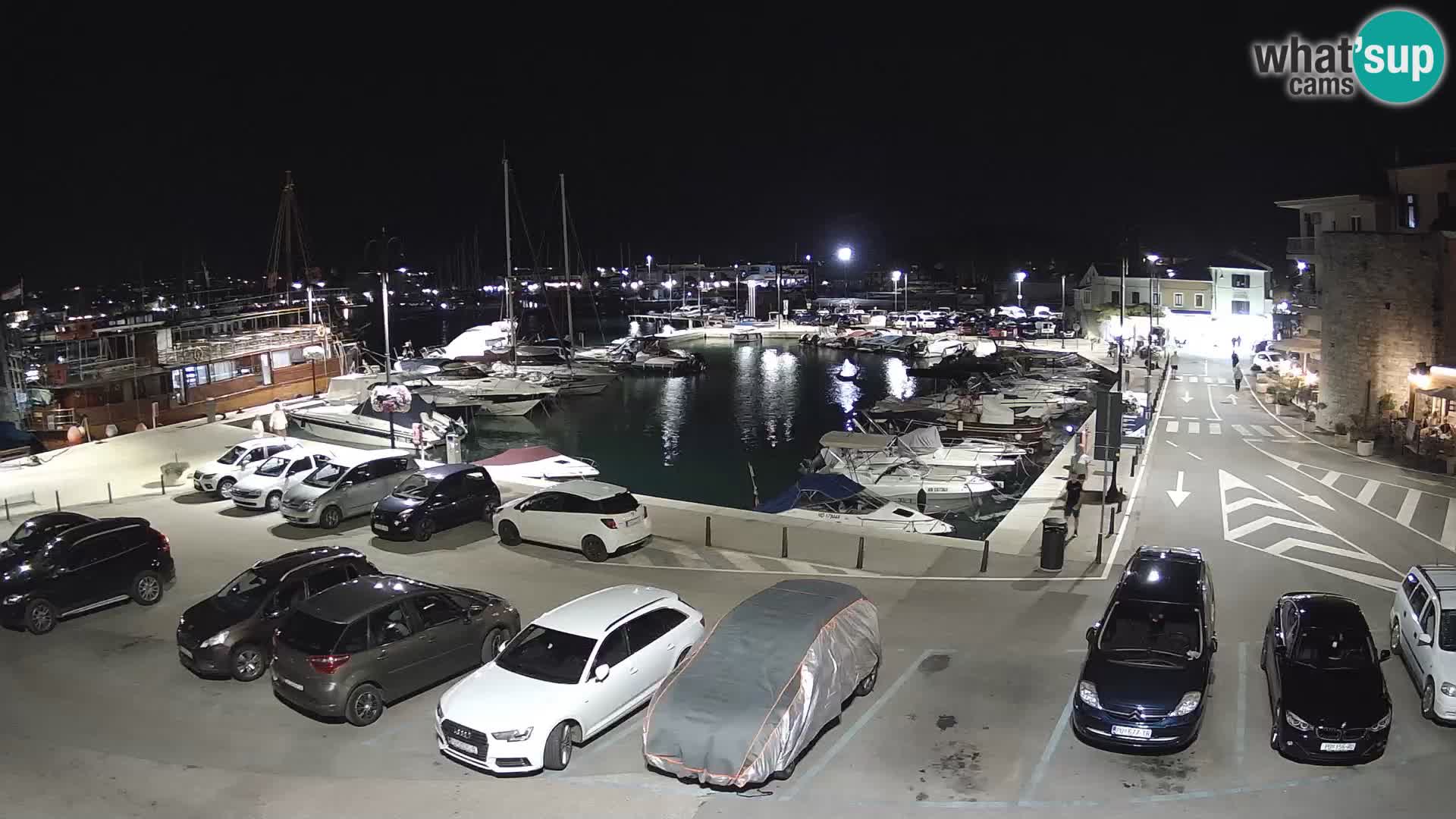 Novigrad | Porporela marina
