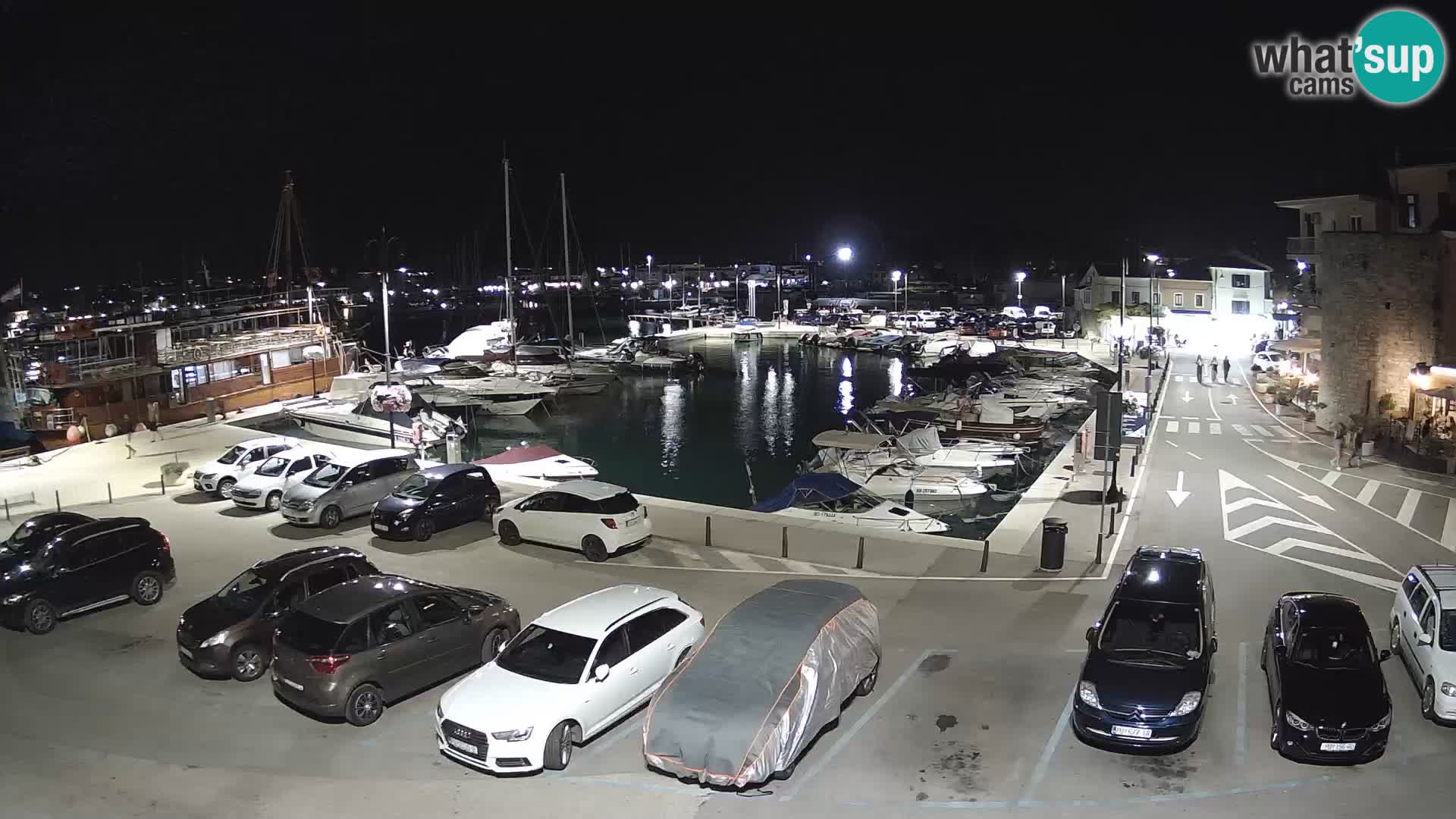 Novigrad | Porporela marina