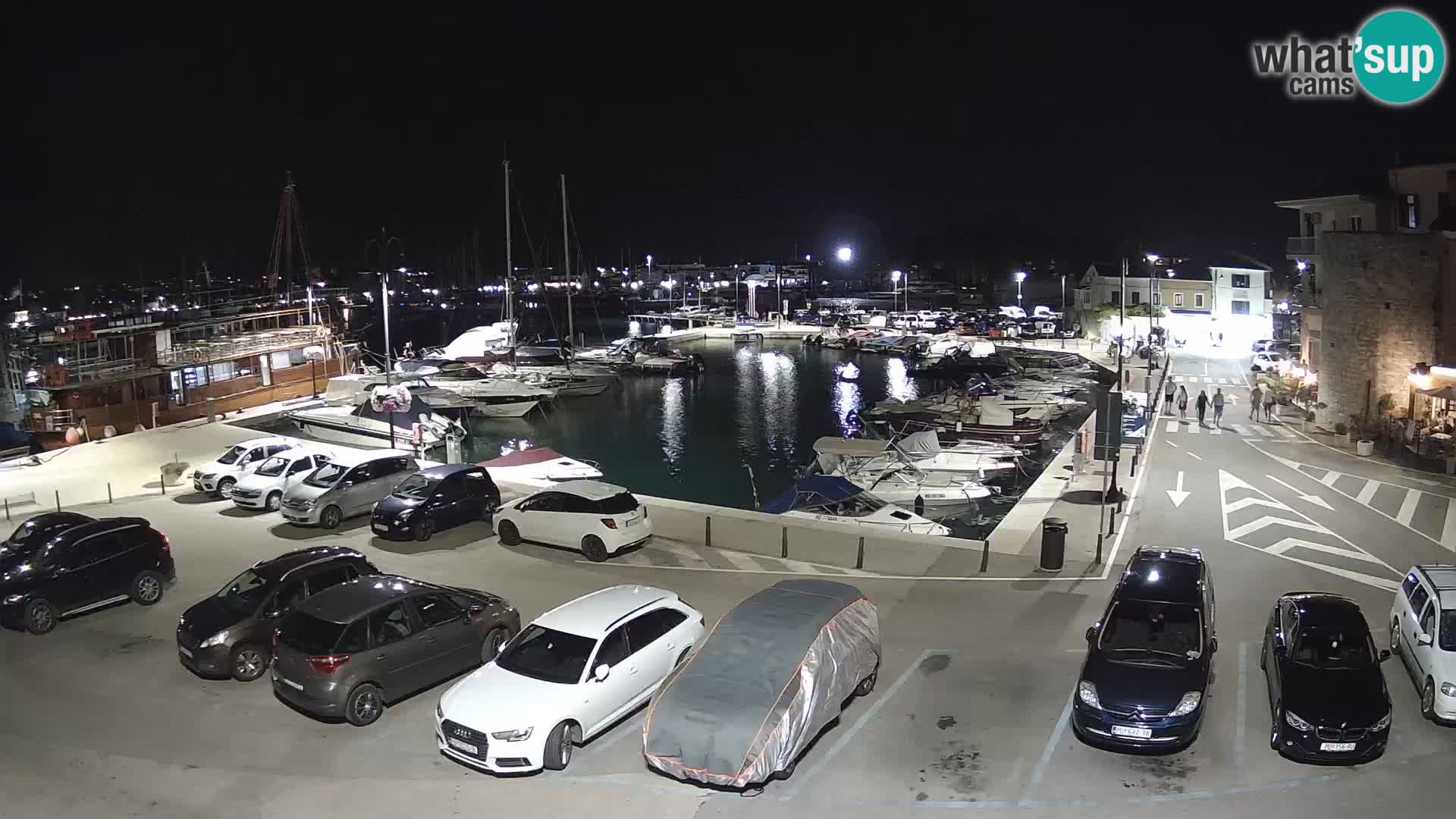 Novigrad | Porporela marina