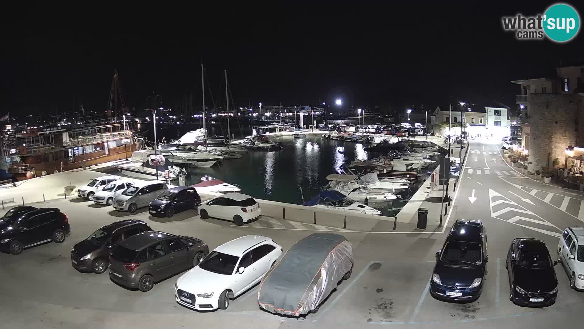 Novigrad | Porporela marina
