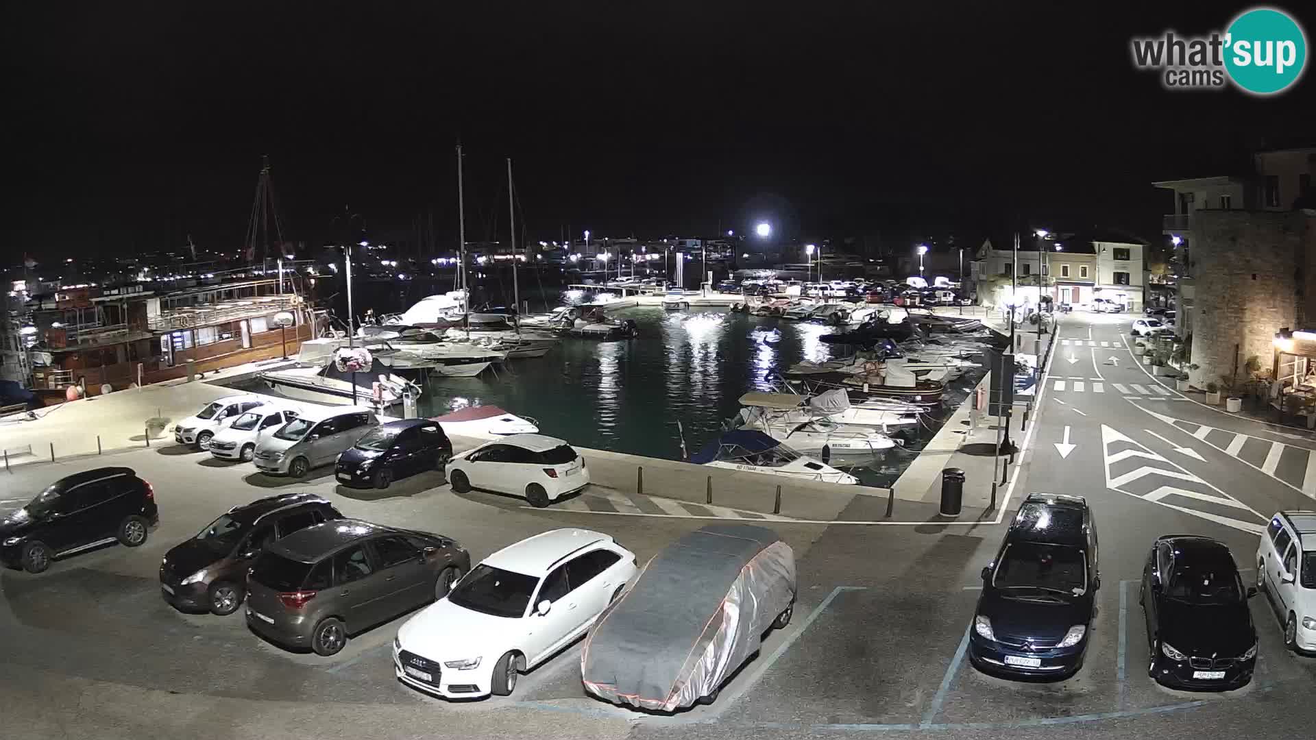 Novigrad | Porporela marina
