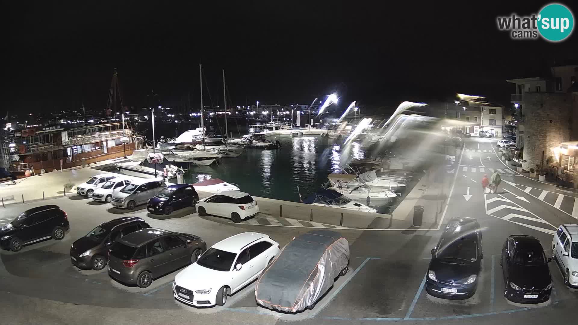 Novigrad | Porporela marina