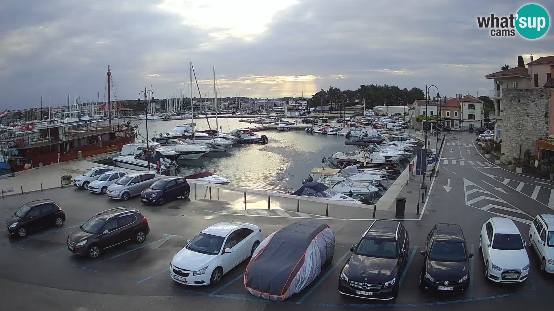 Novigrad | Porporela marina