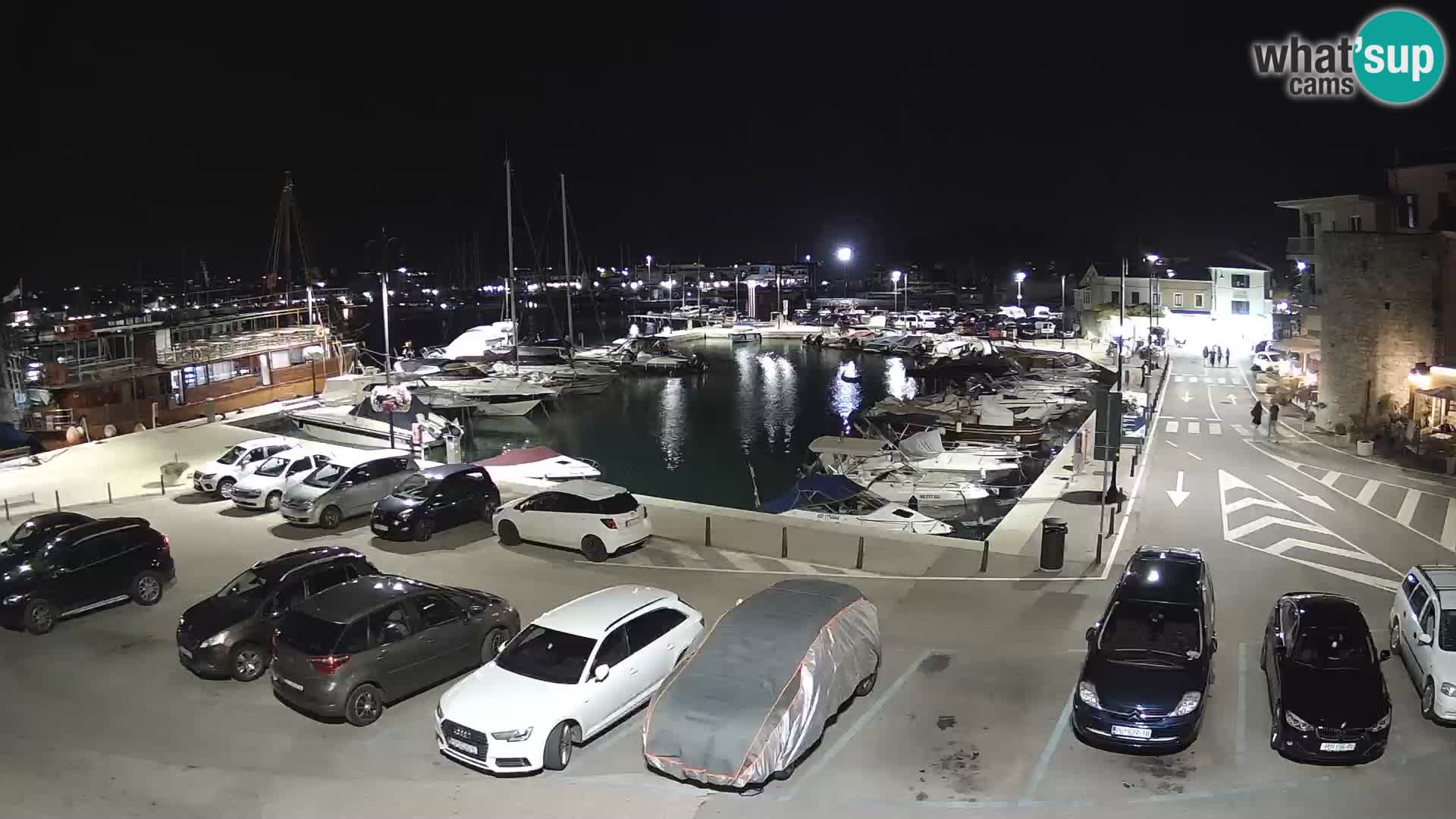 Novigrad | Porporela marina