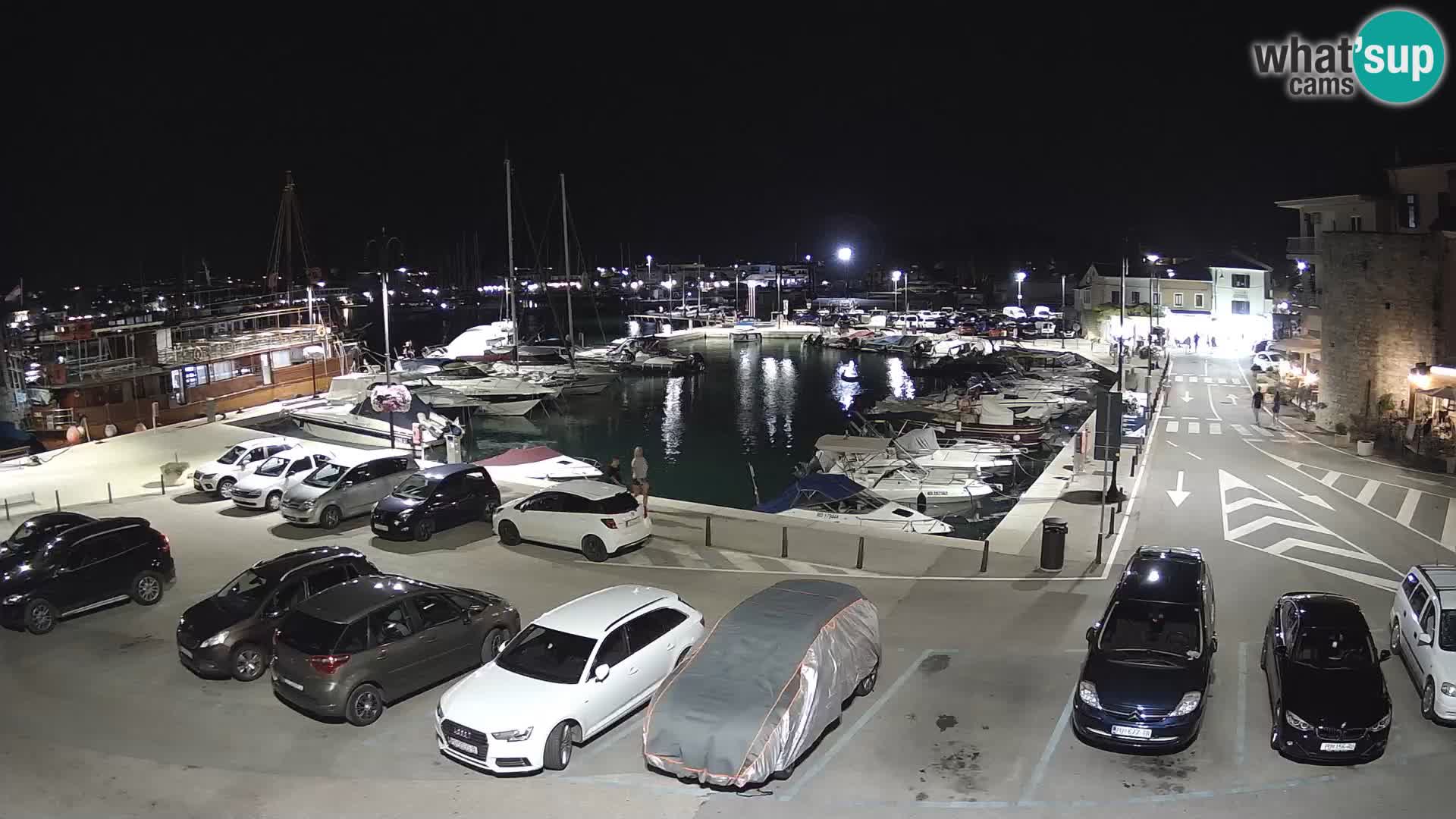 Novigrad | Porporela marina