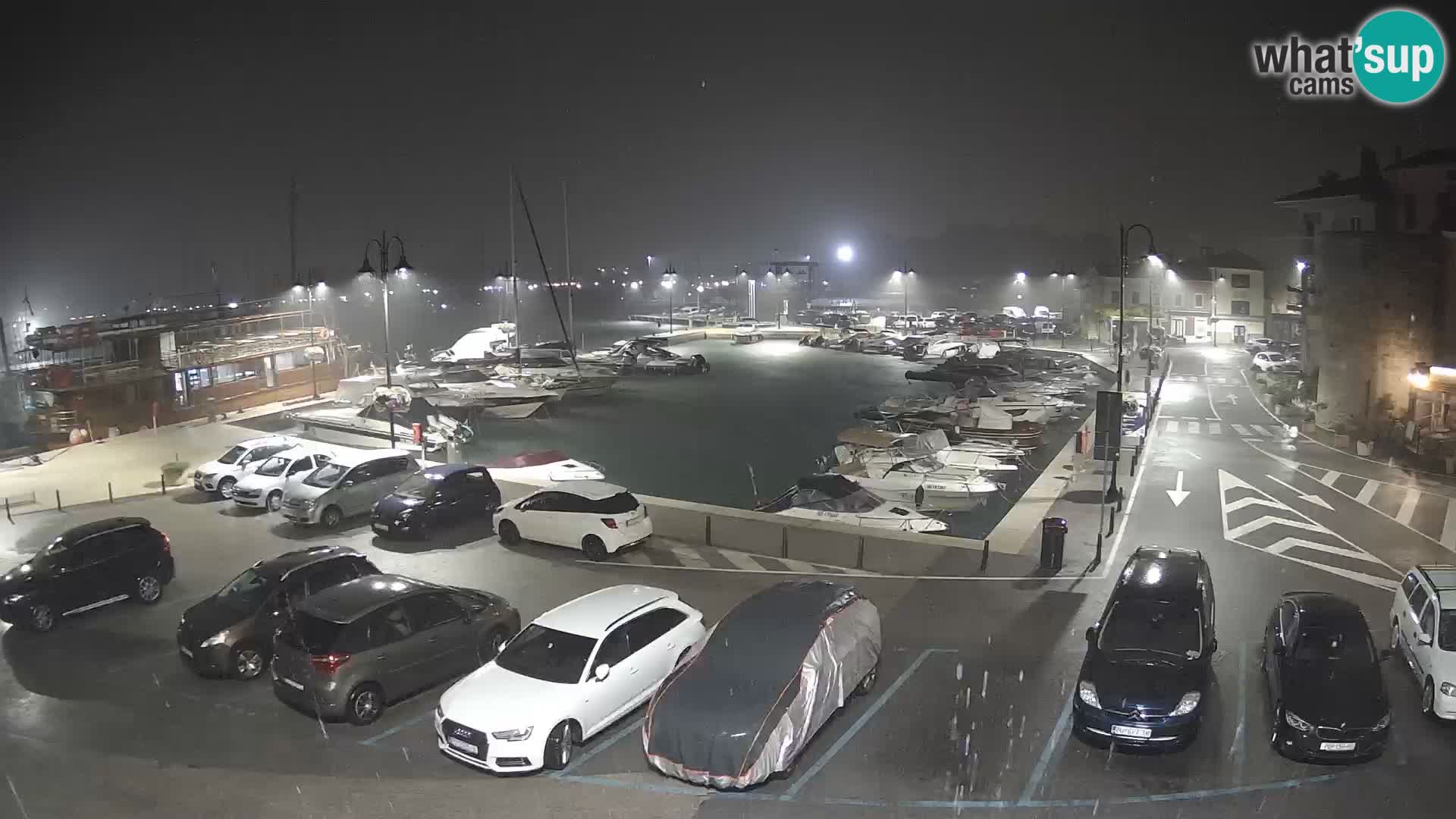 Novigrad | Porporela marina