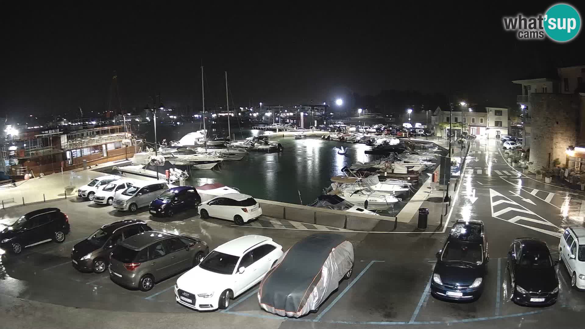 Novigrad | Porporela marina
