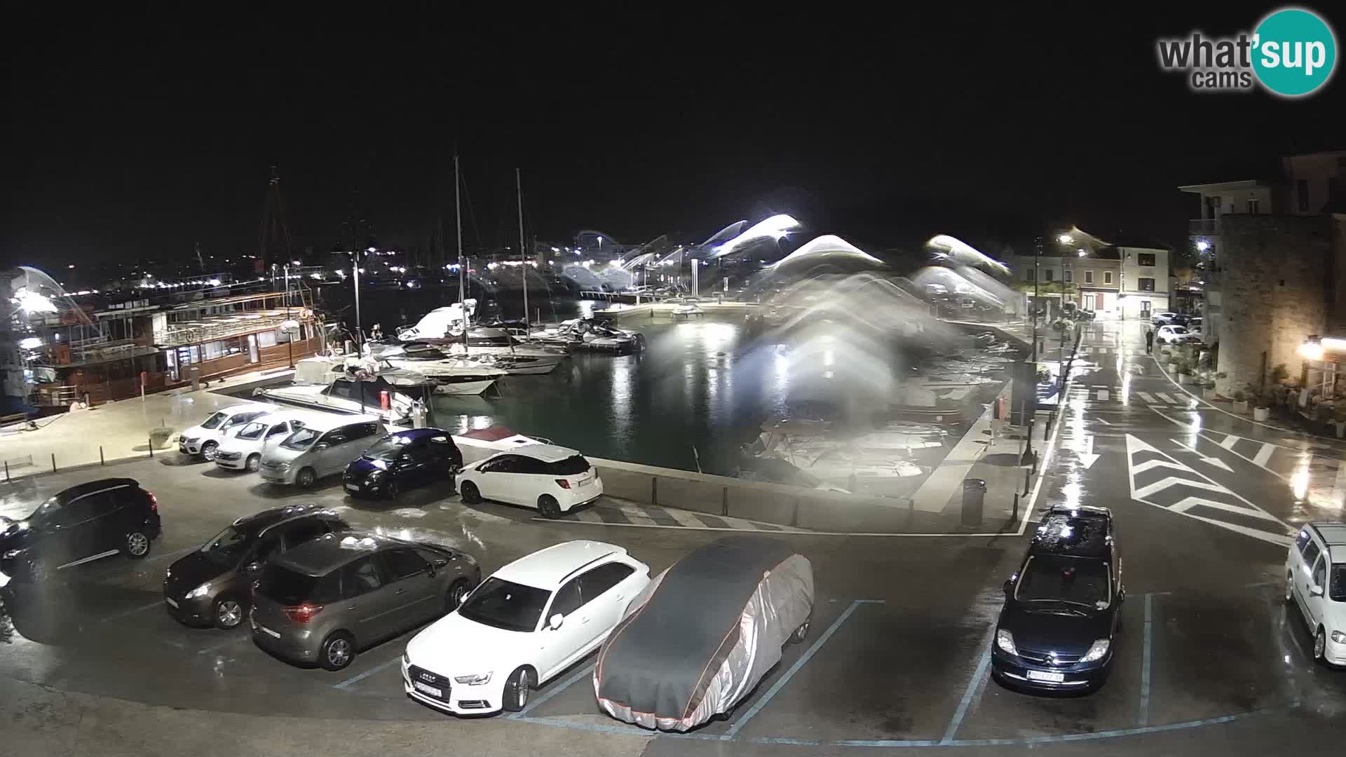 Novigrad | Porporela marina
