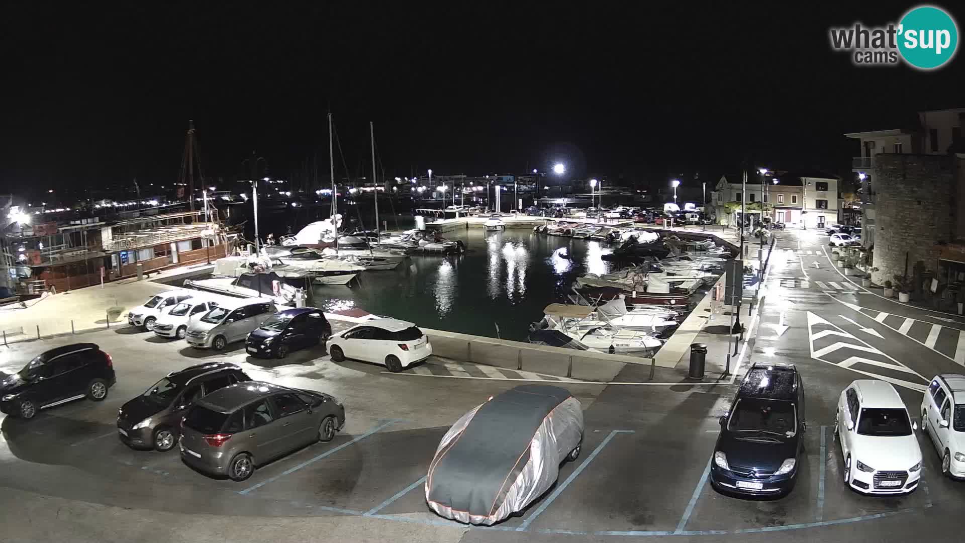 Novigrad | Porporela marina