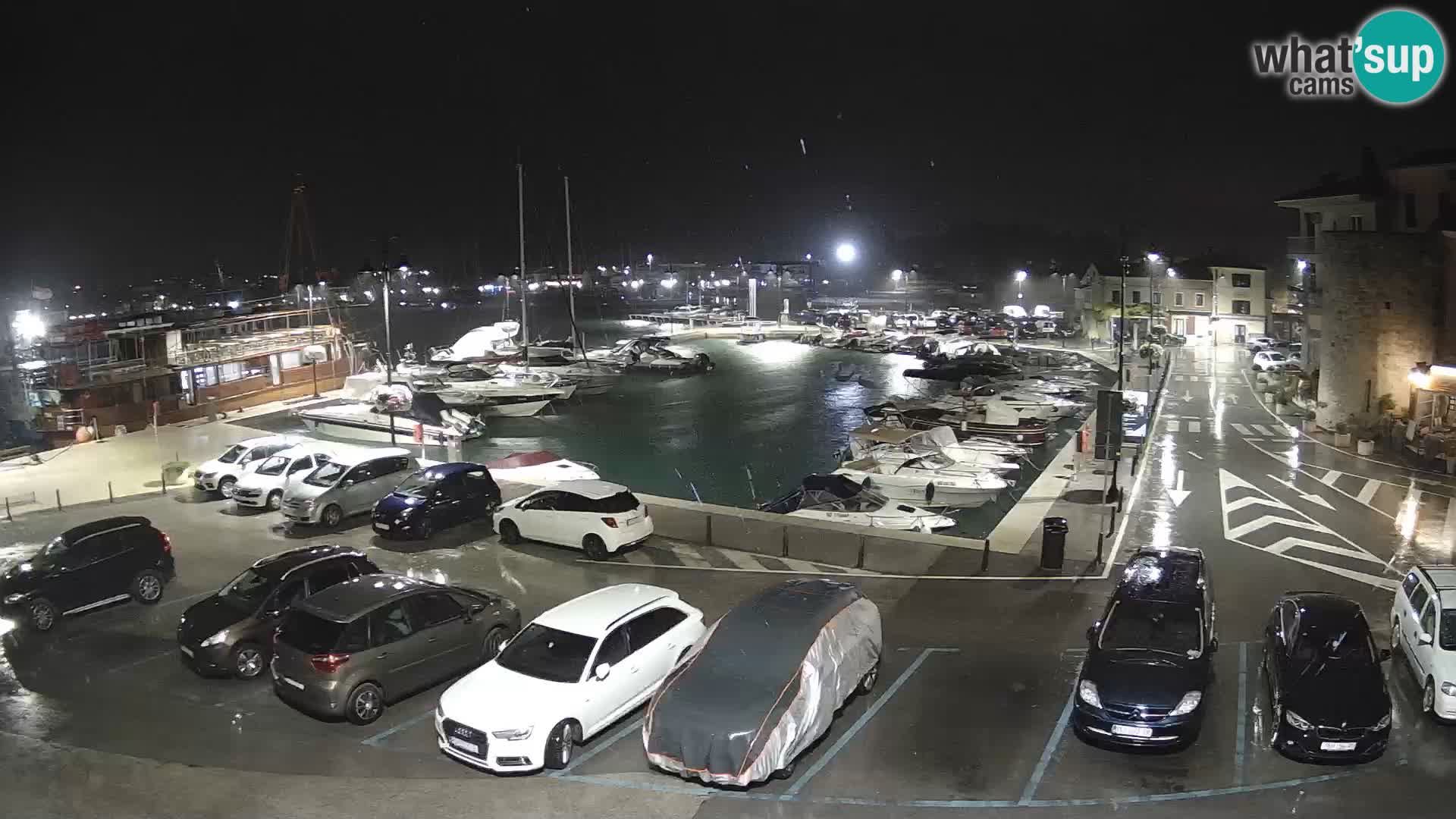 Novigrad | Porporela marina