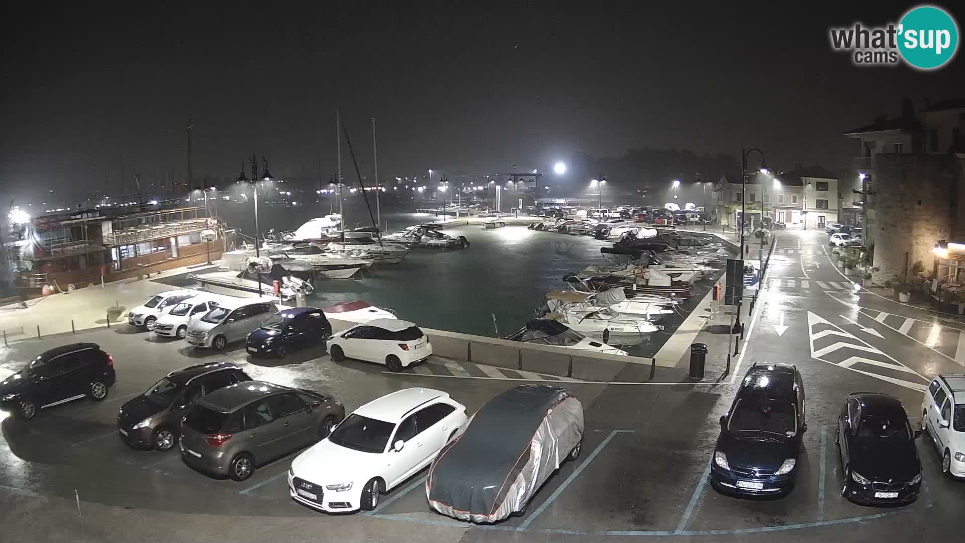 Novigrad | Porporela marina