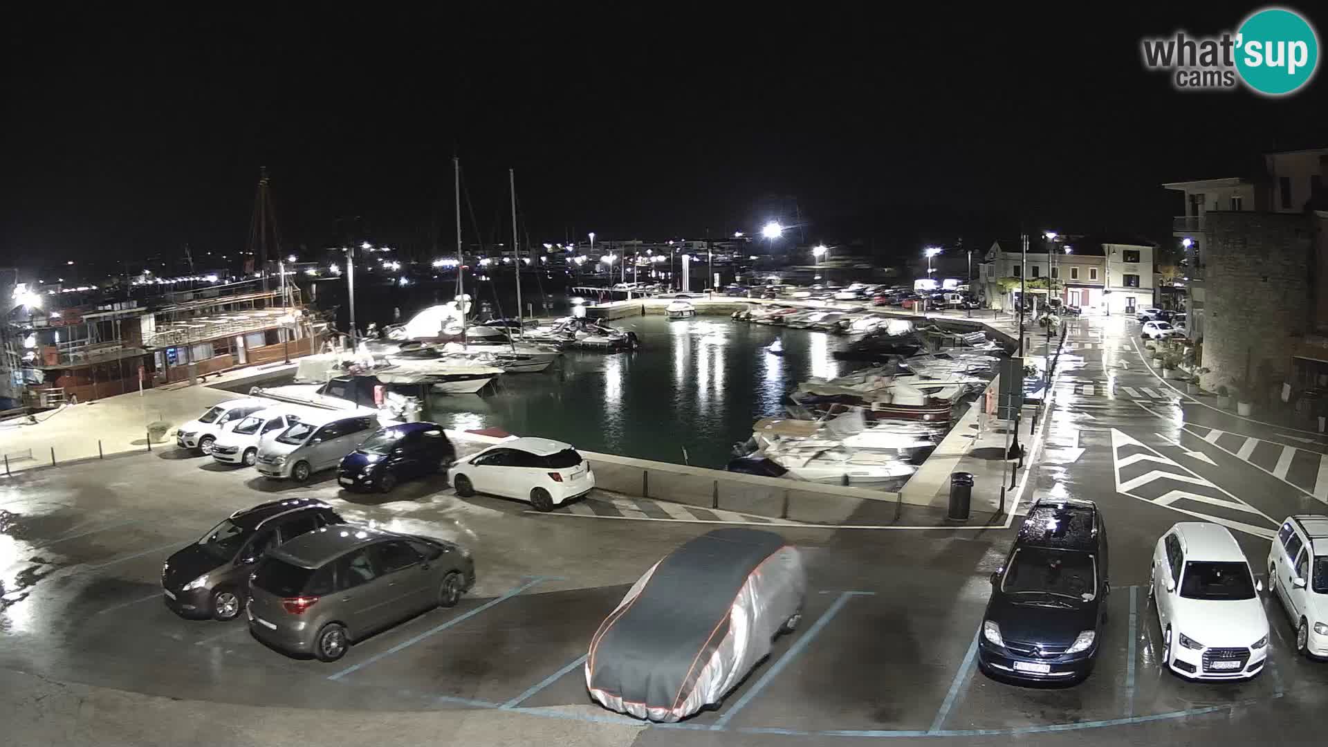 Novigrad | Porporela marina