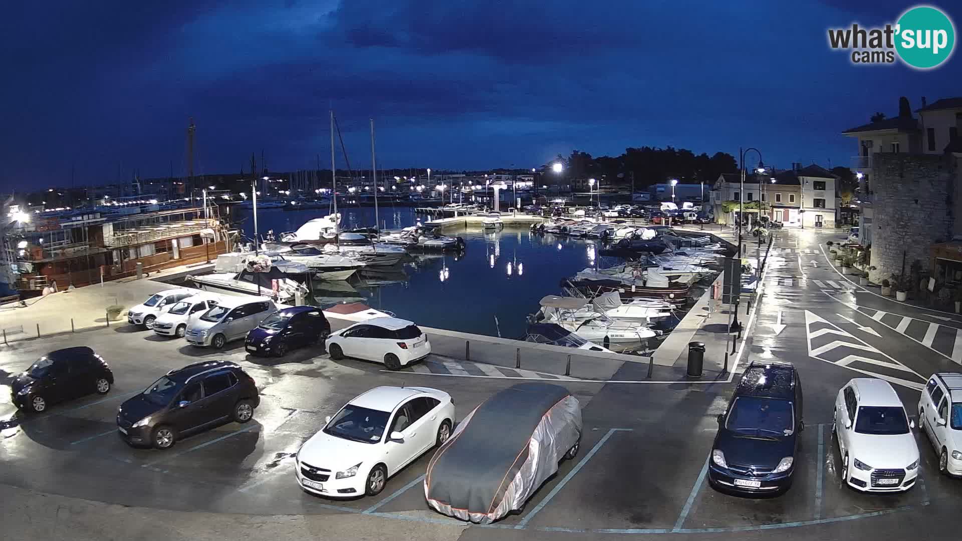 Novigrad | Porporela marina