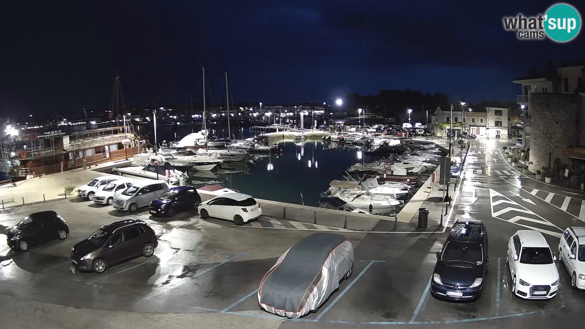 Novigrad | Porporela marina