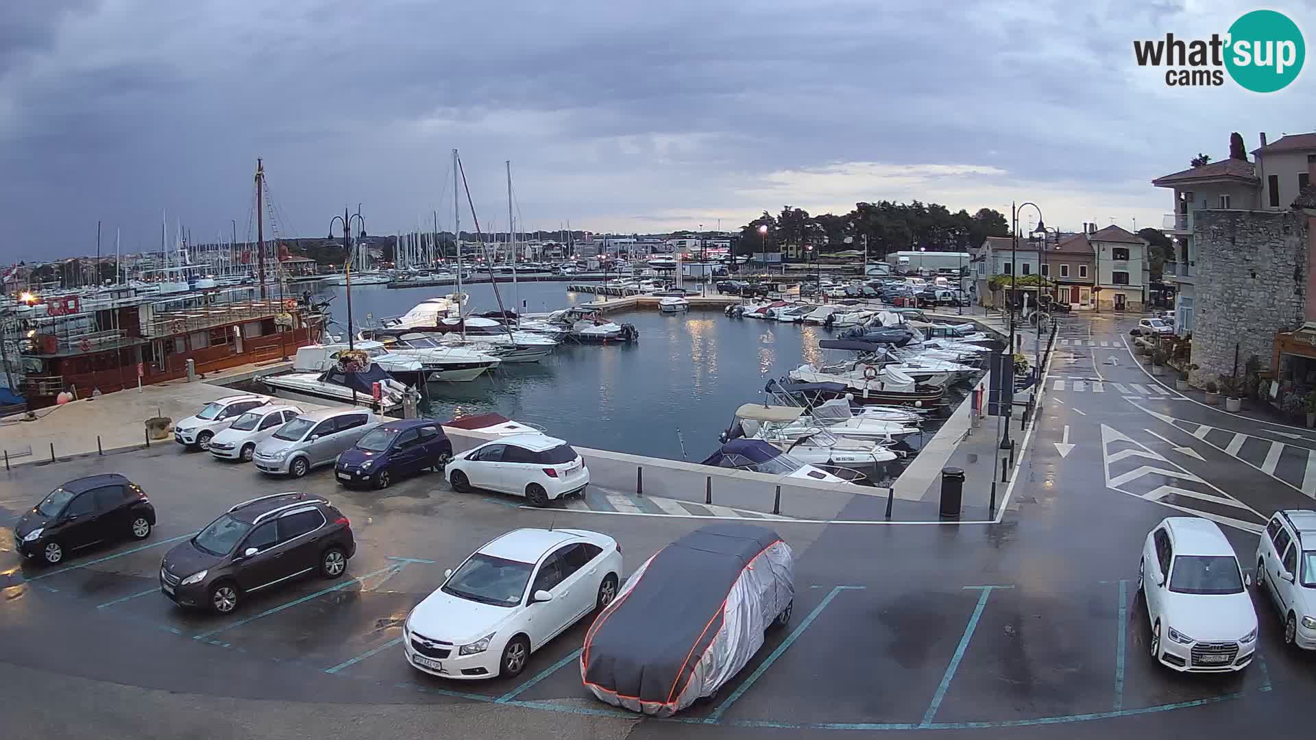 Novigrad | Porporela marina