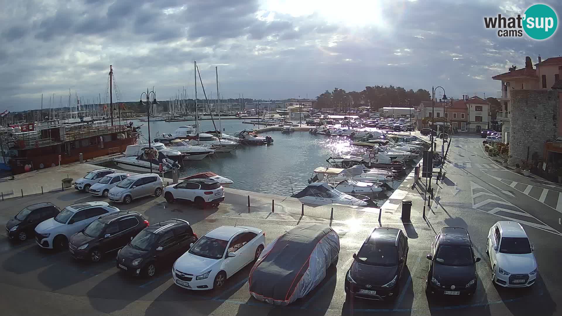 Novigrad | Porporela marina