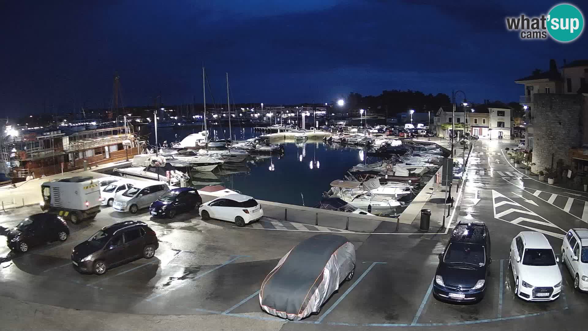 Novigrad | Porporela marina