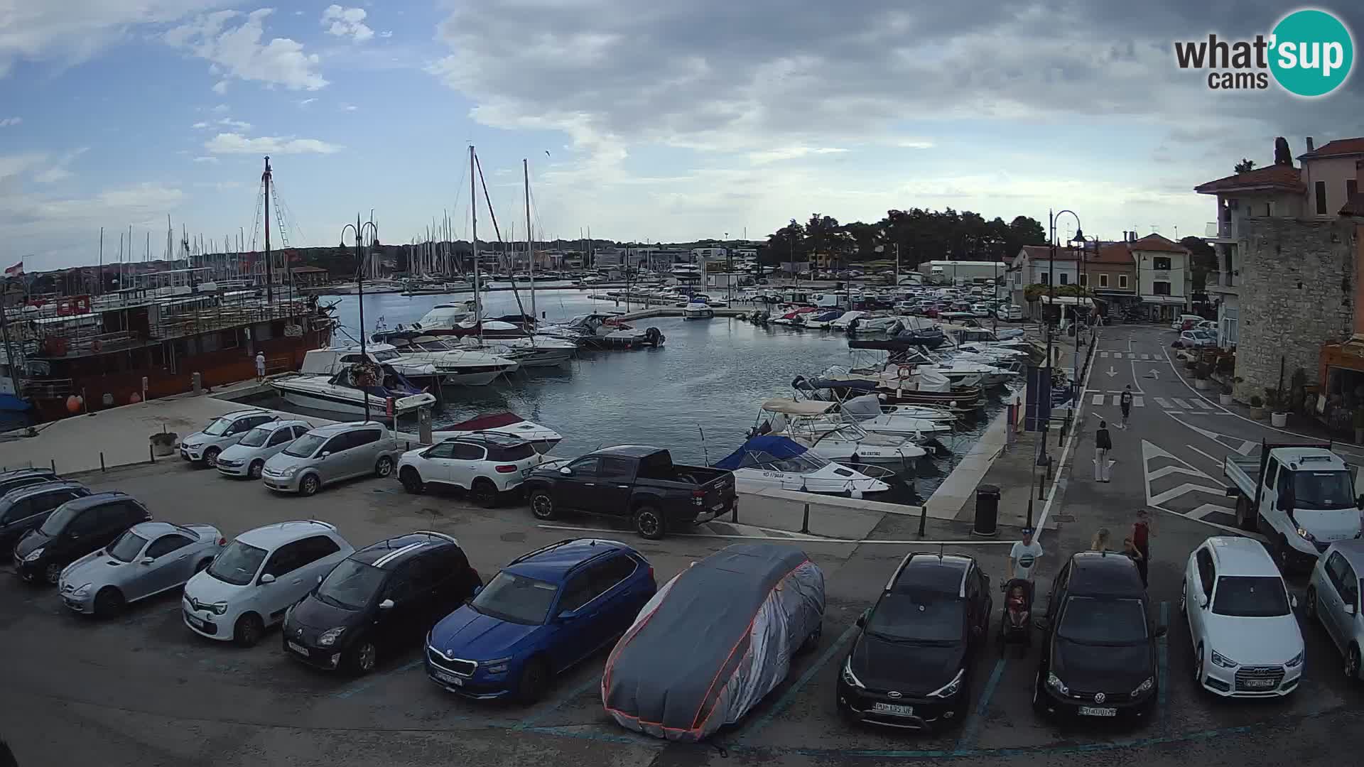 Novigrad | Porporela marina