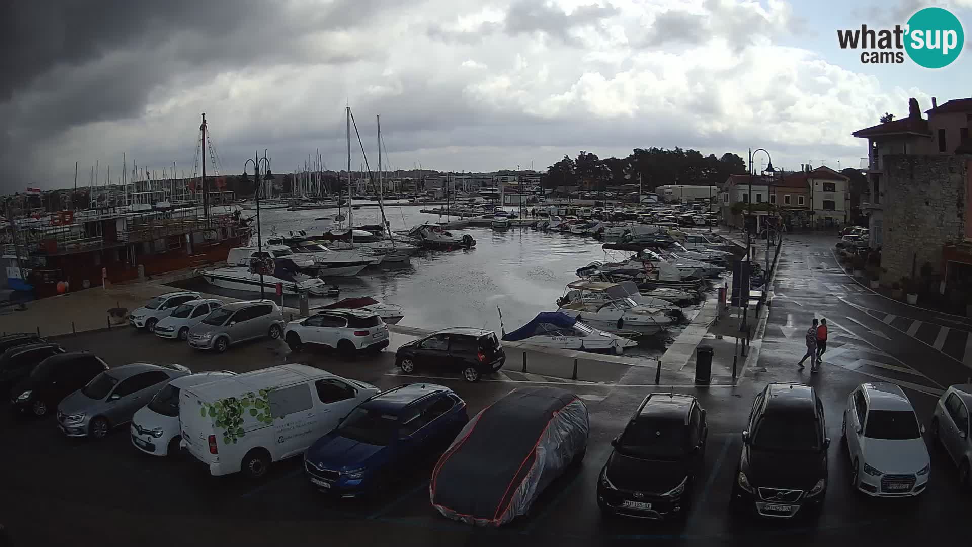 Novigrad | Porporela marina