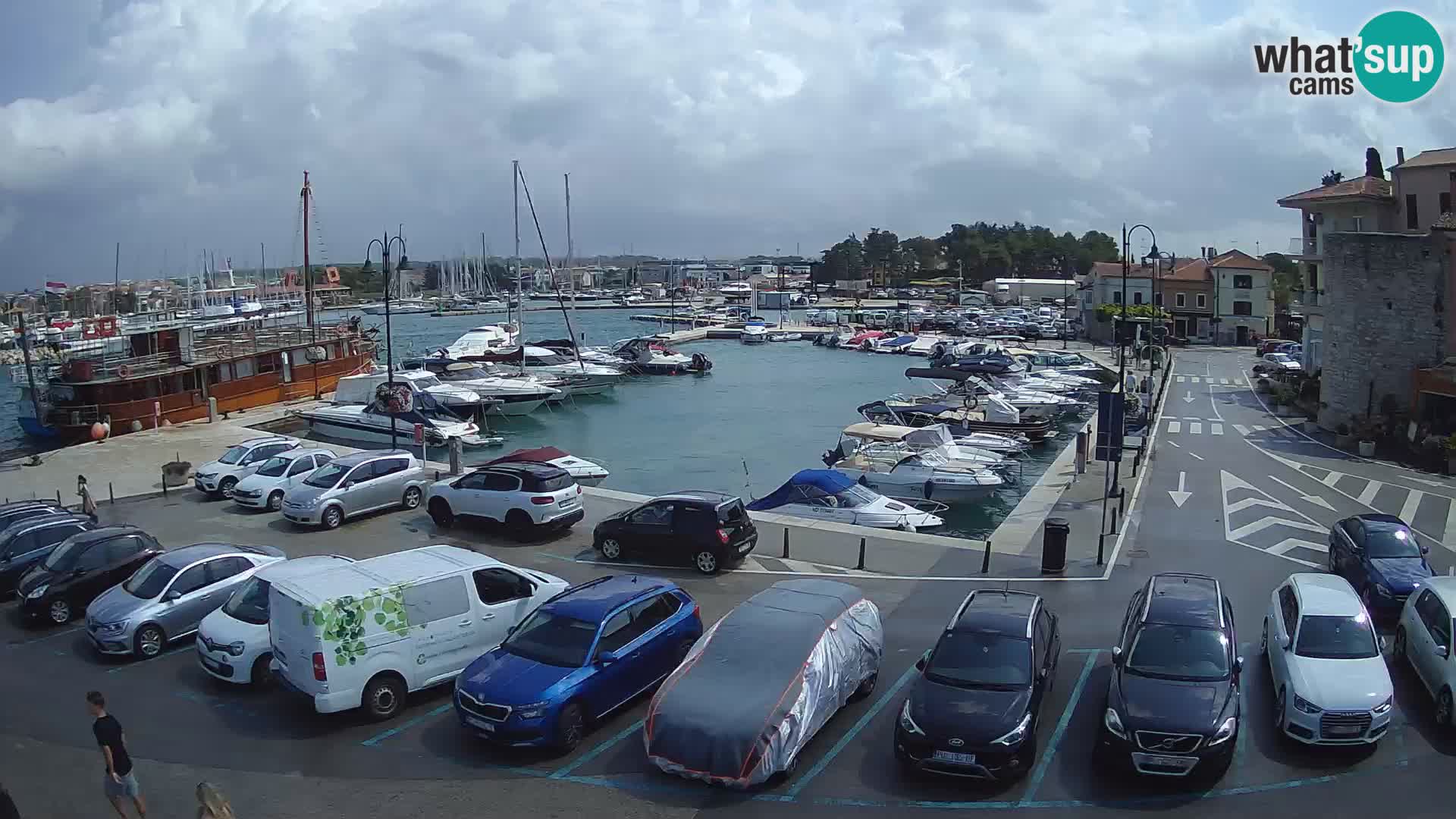 Novigrad | Porporela marina
