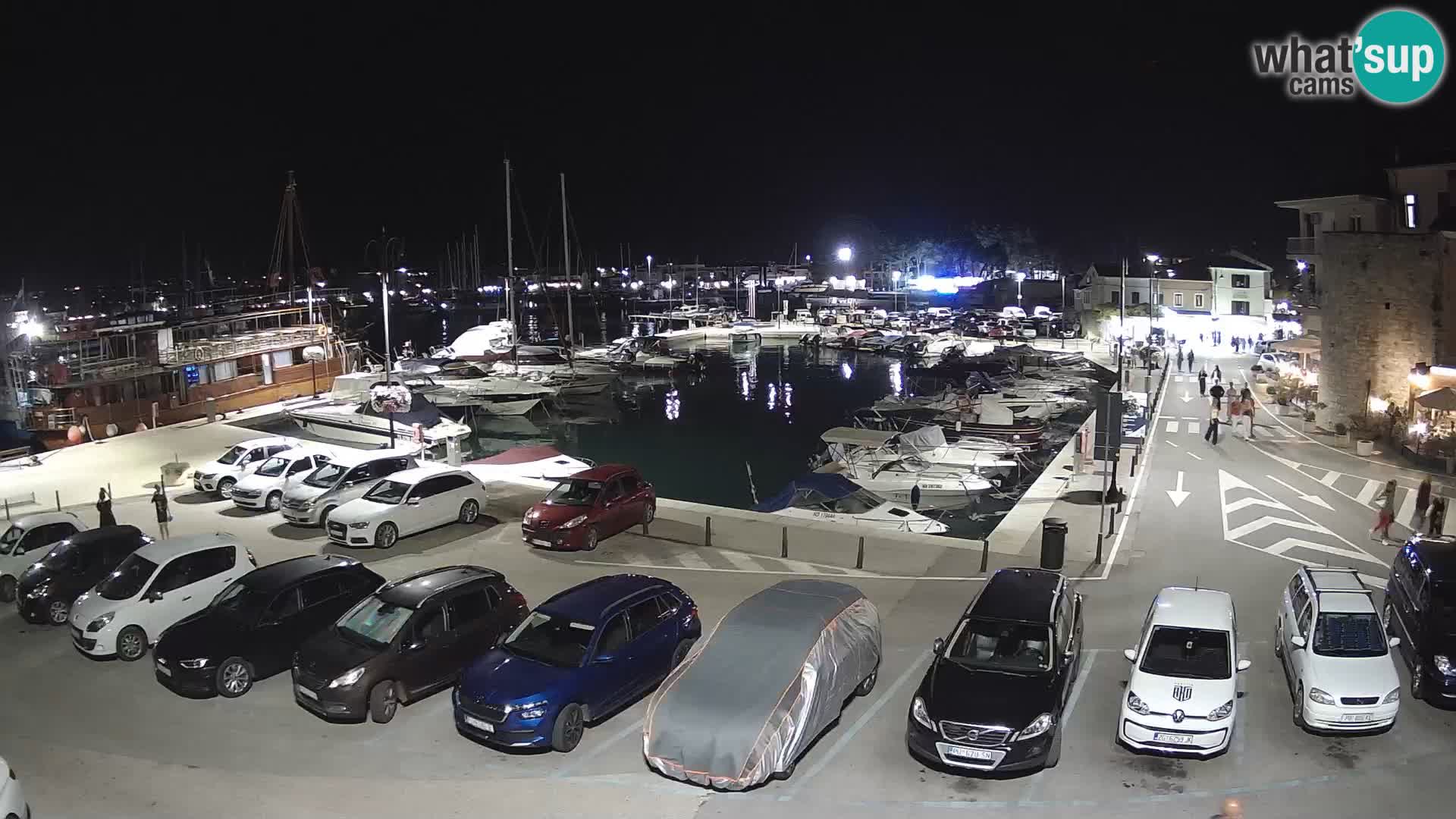 Novigrad | Porporela marina