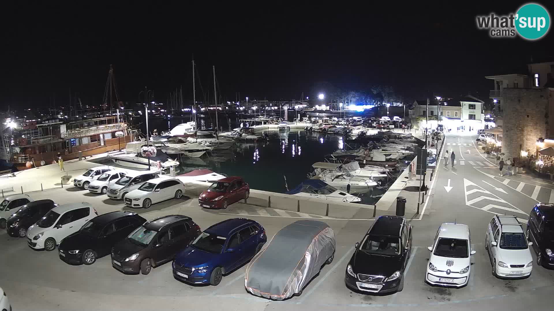Novigrad | Porporela marina
