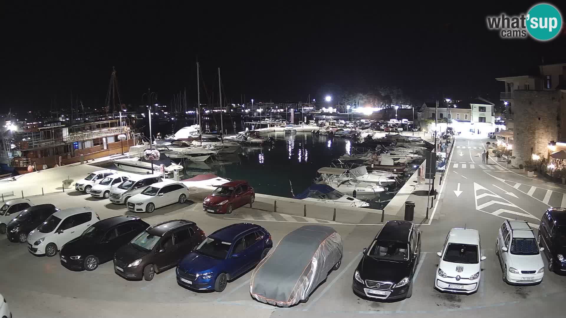 Novigrad | Porporela marina