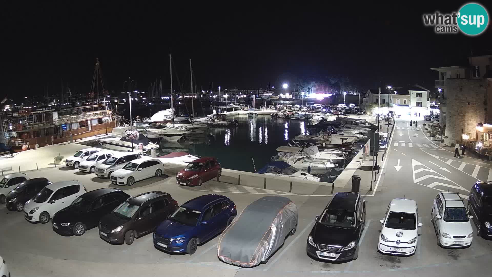 Novigrad | Porporela marina
