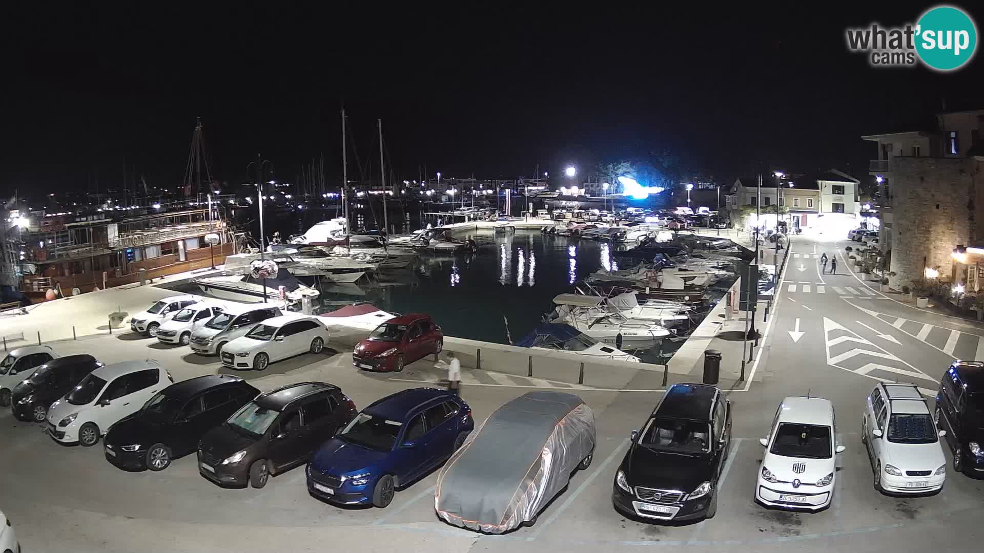 Novigrad | Porporela marina