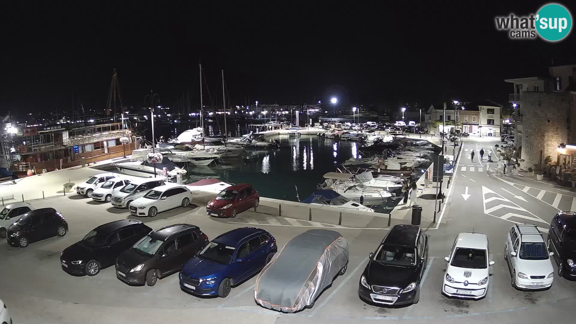 Novigrad | Porporela marina