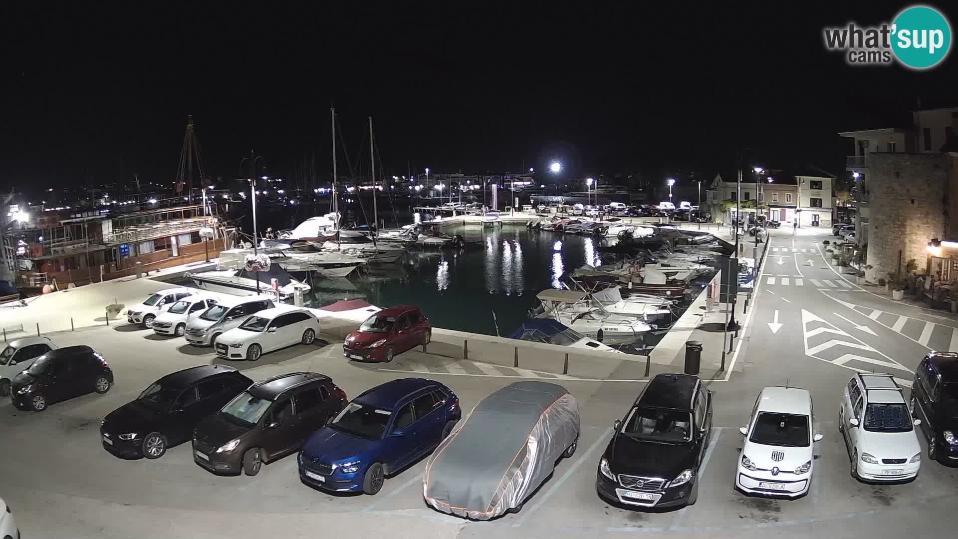 Novigrad | Porporela marina
