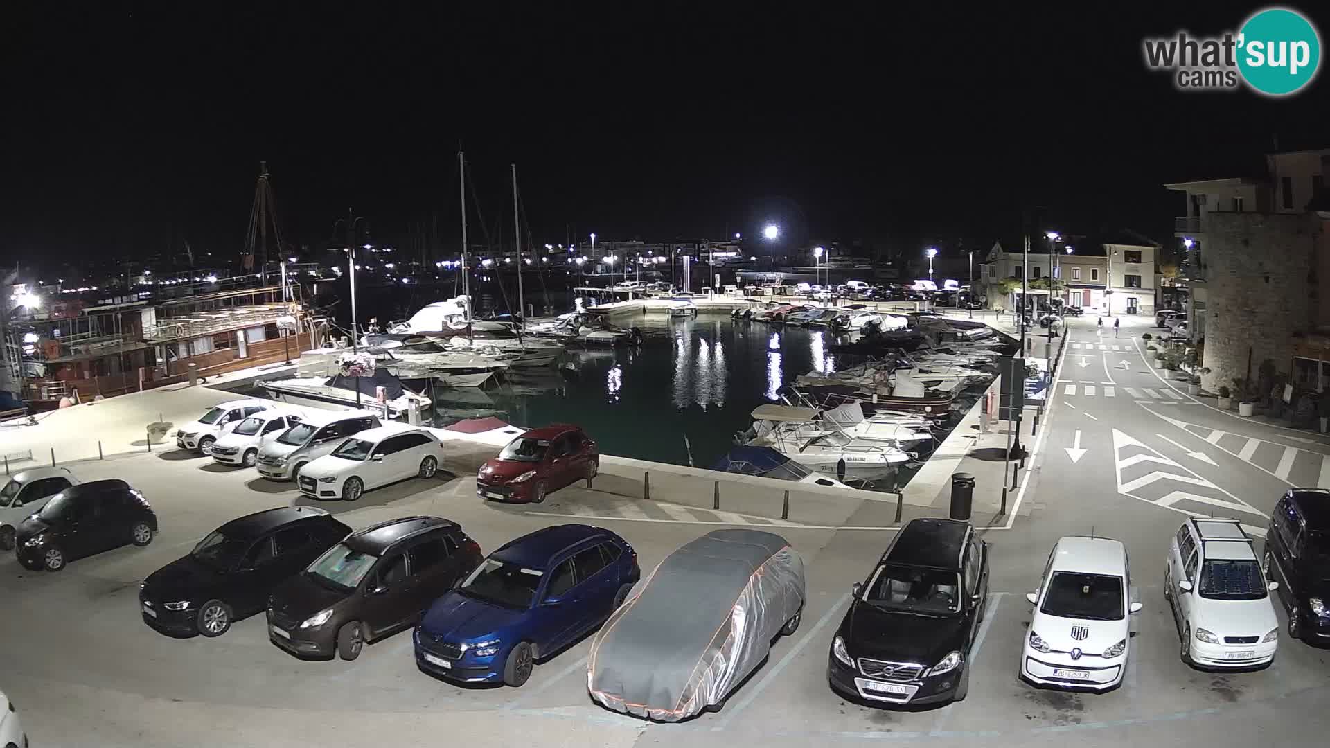 Novigrad | Porporela marina