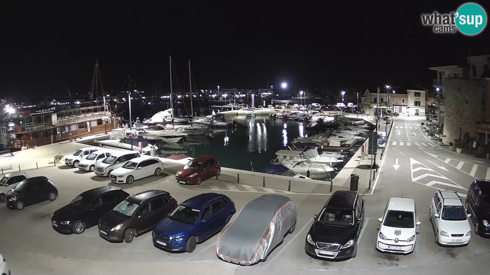 Novigrad | Porporela marina