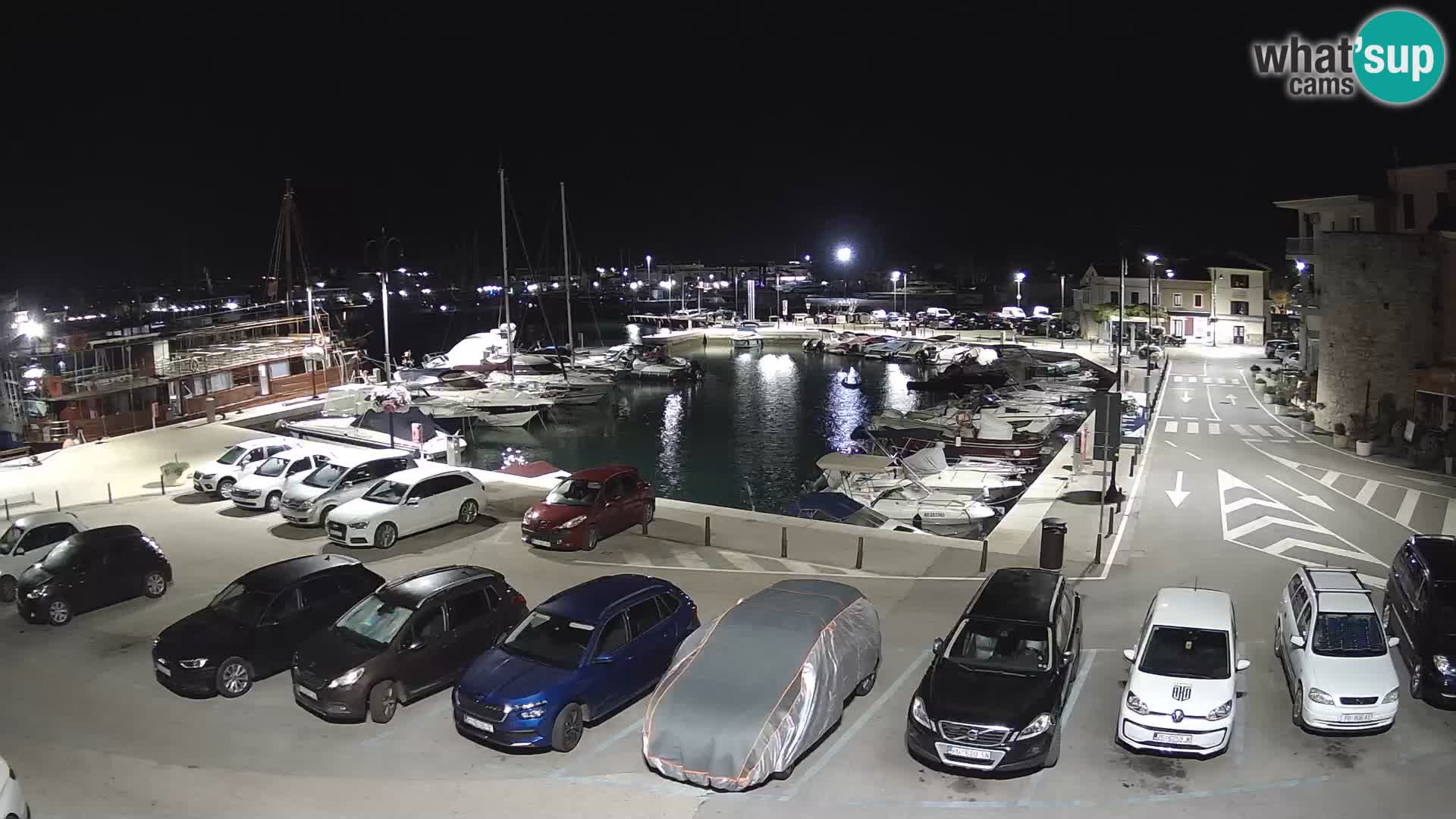 Novigrad | Porporela marina