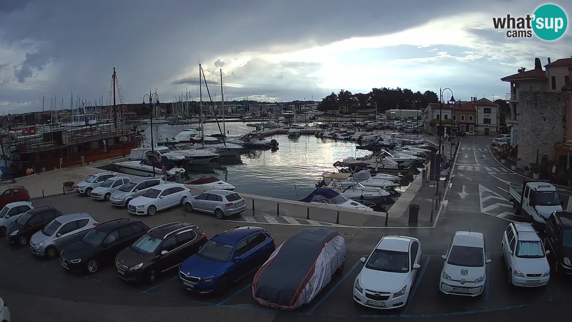 Novigrad | Porporela marina