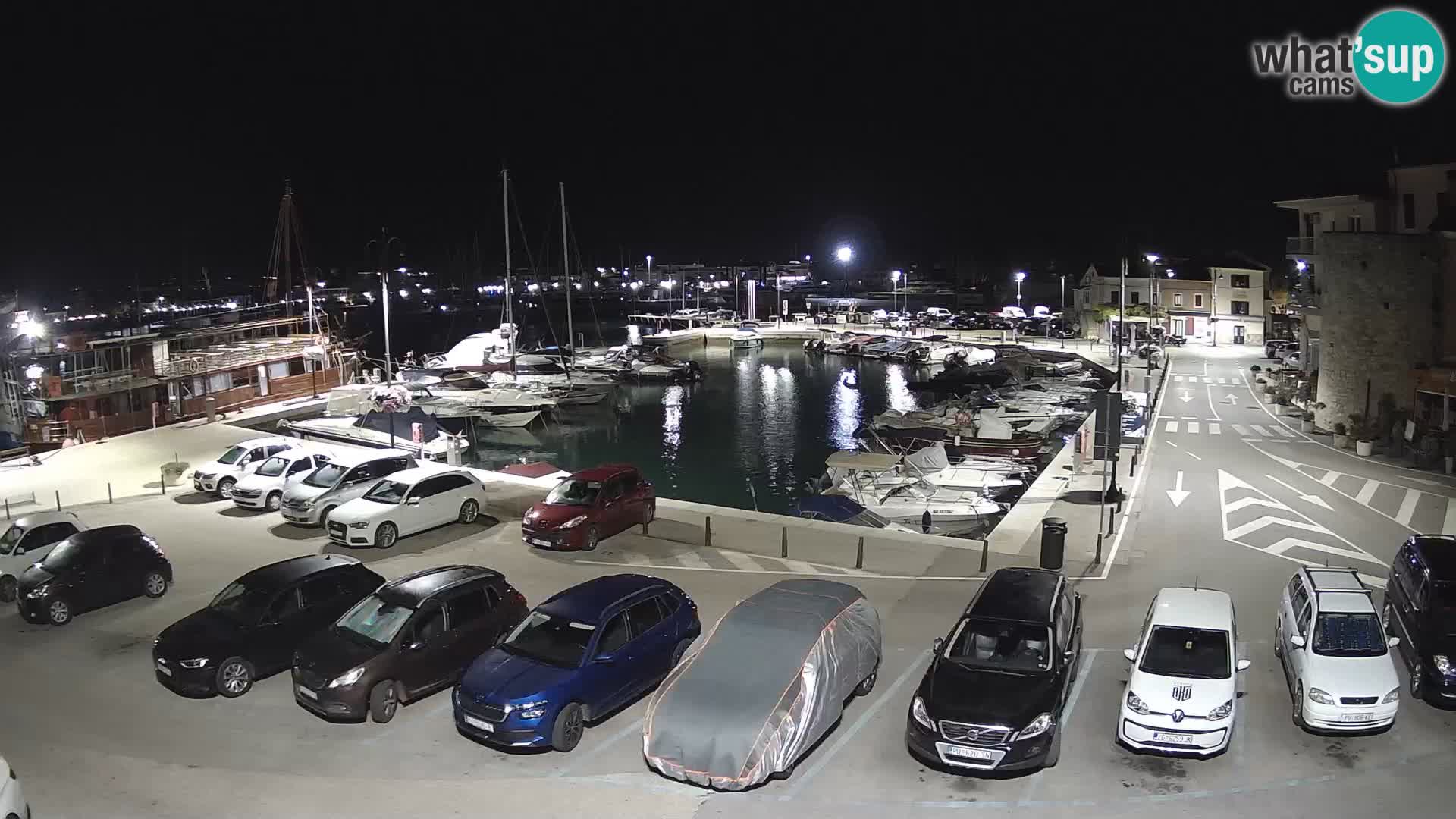 Novigrad | Porporela marina