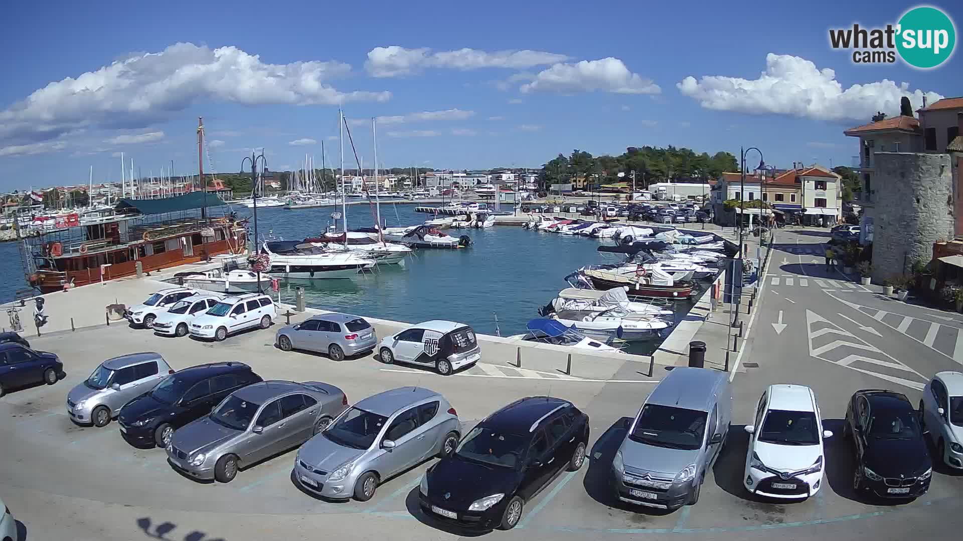 Novigrad | Porporela marina
