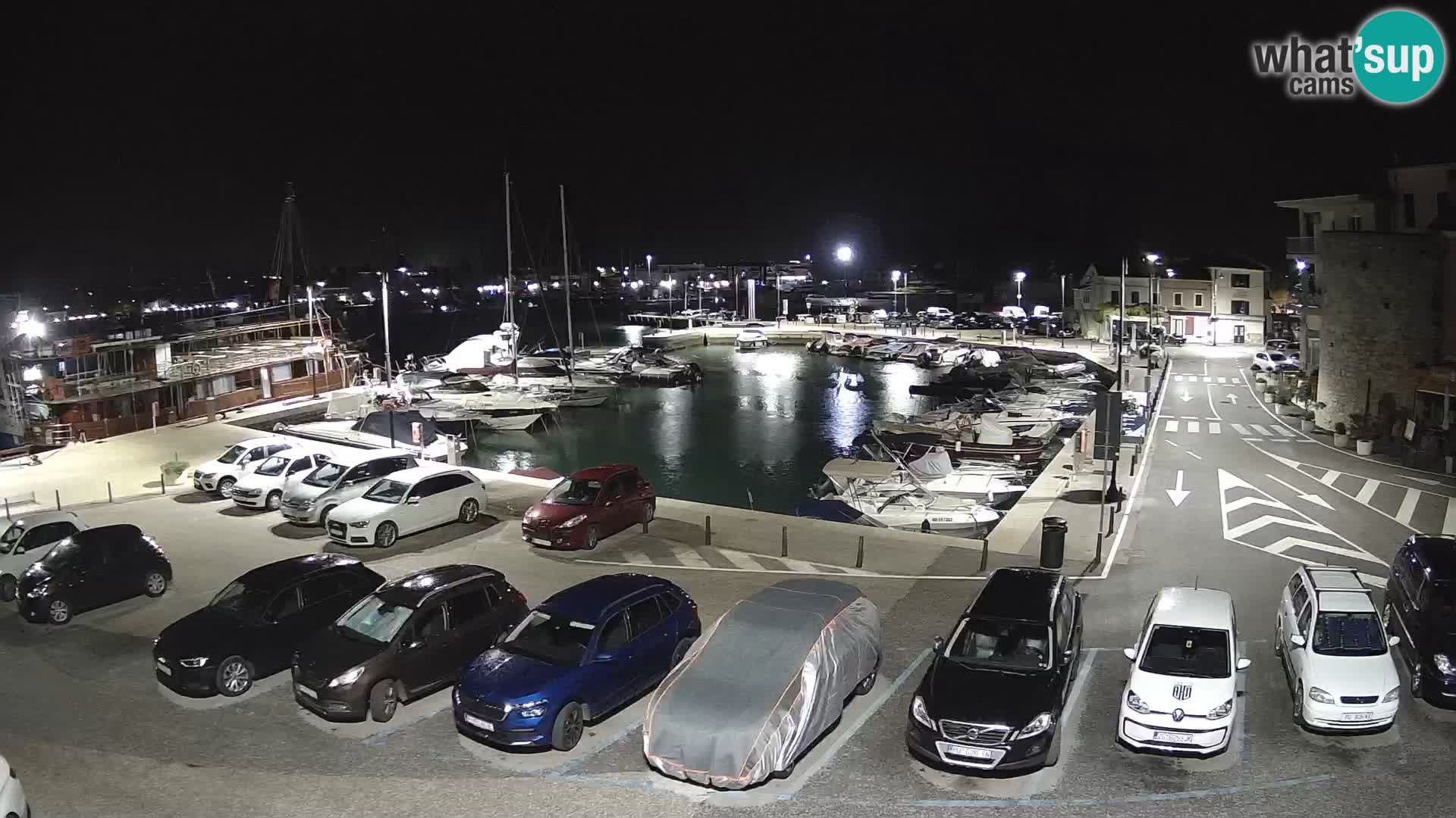 Novigrad | Porporela marina
