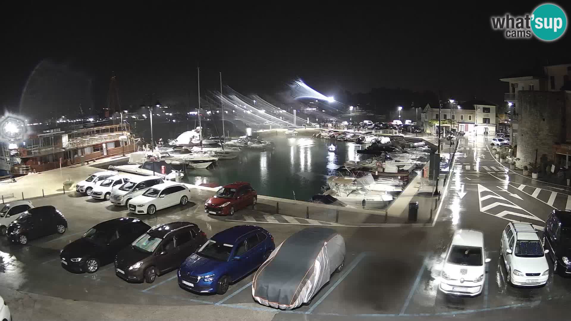 Novigrad | Porporela marina