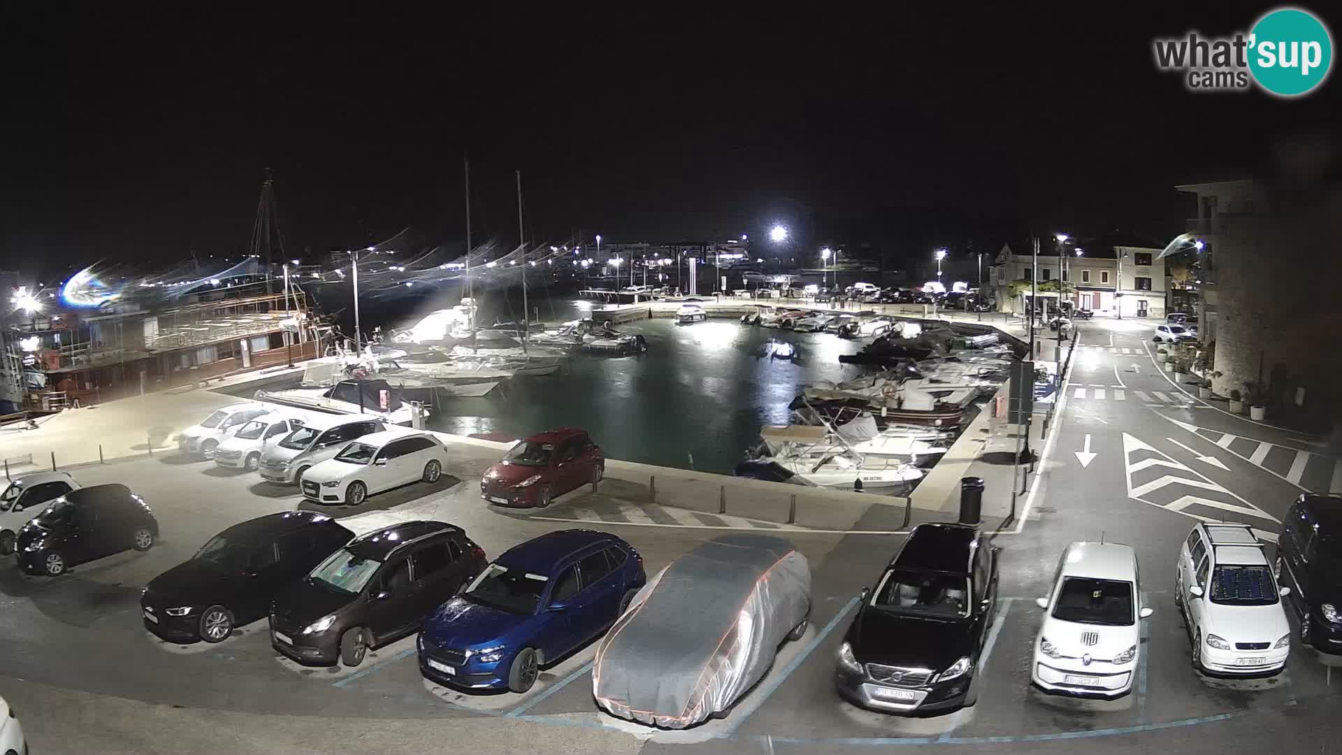 Novigrad | Porporela marina