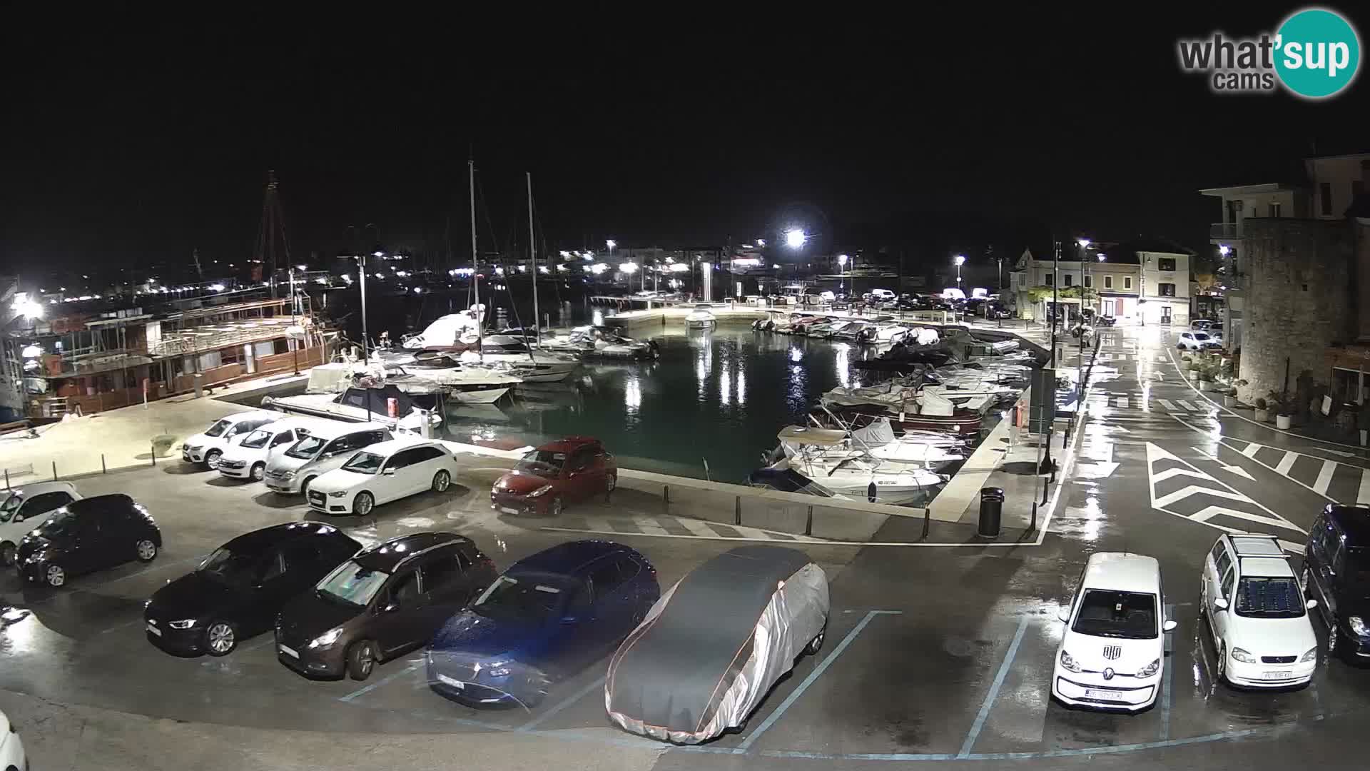 Novigrad | Porporela marina
