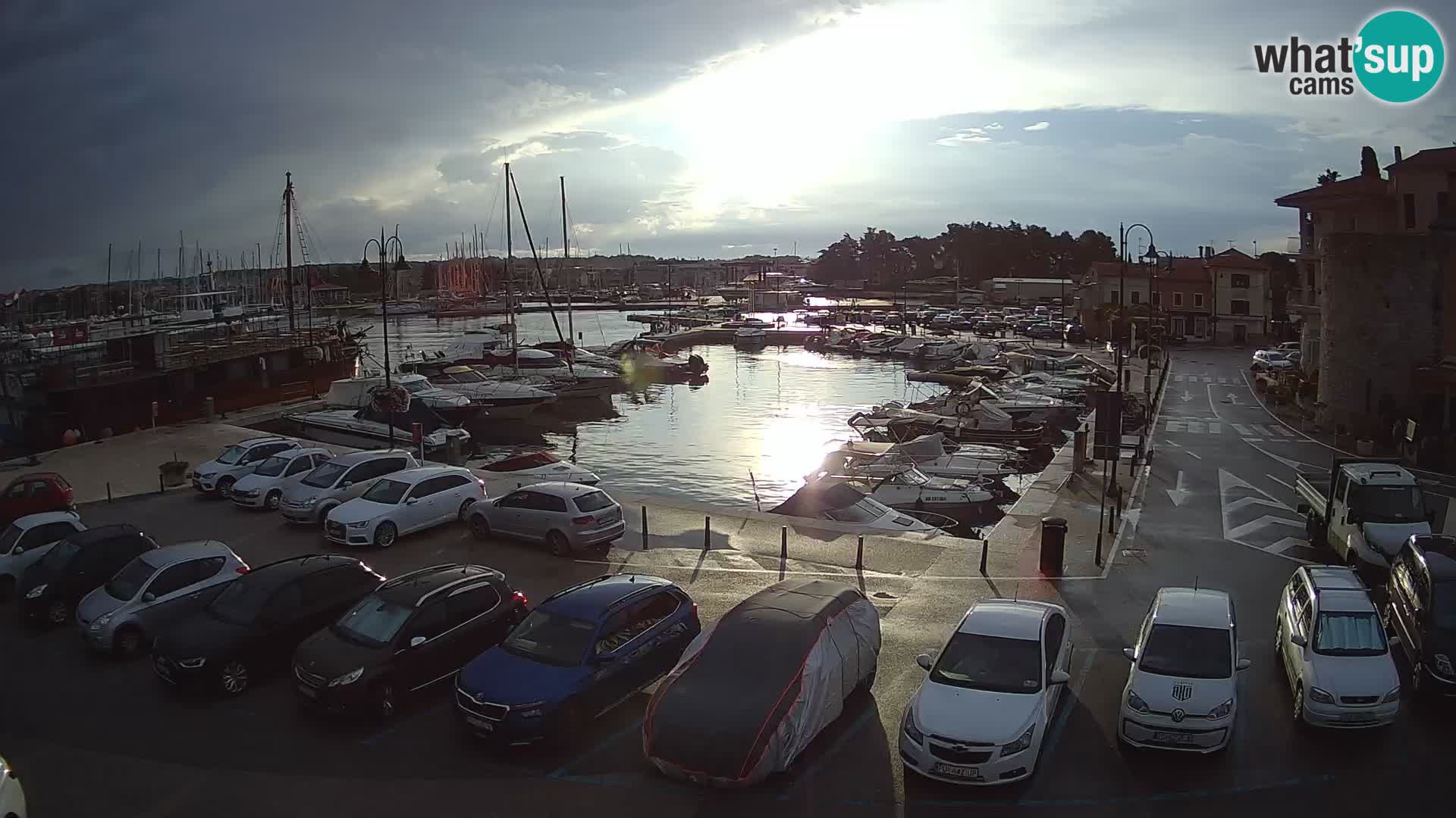Novigrad | Porporela marina